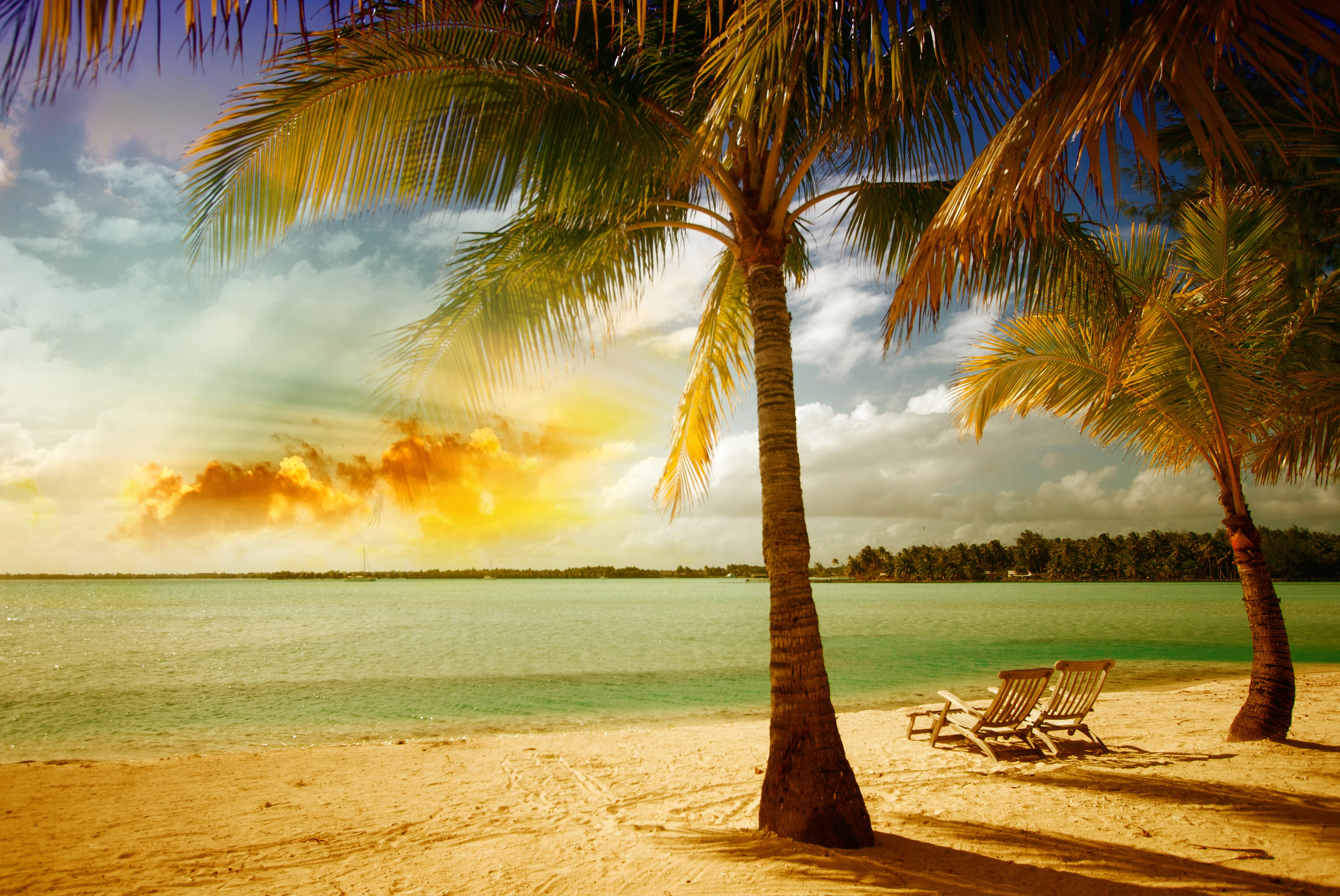 закат пальмы море песок пляж скачать