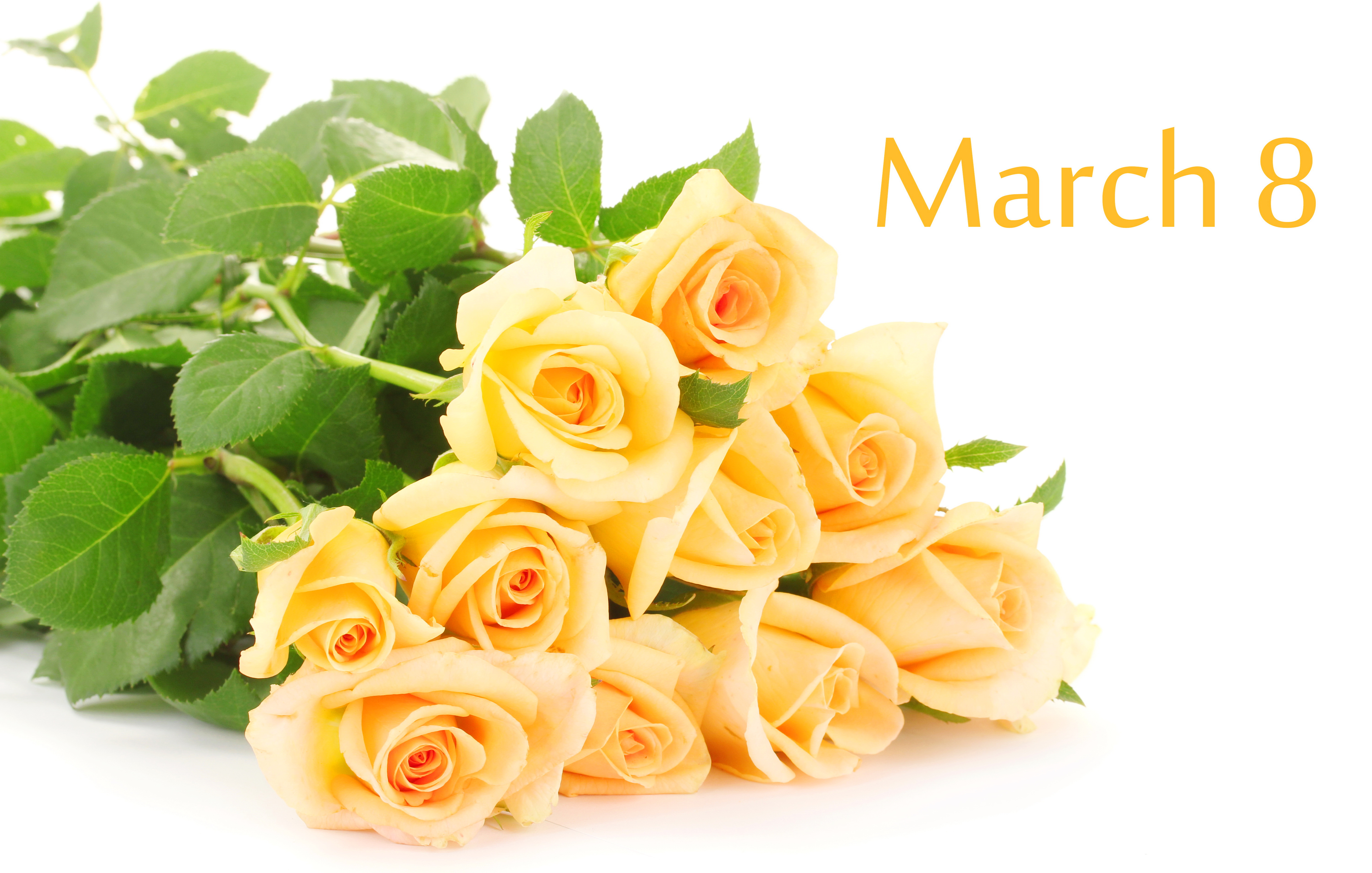 8 Марта, праздник, цветы, желтые скачать