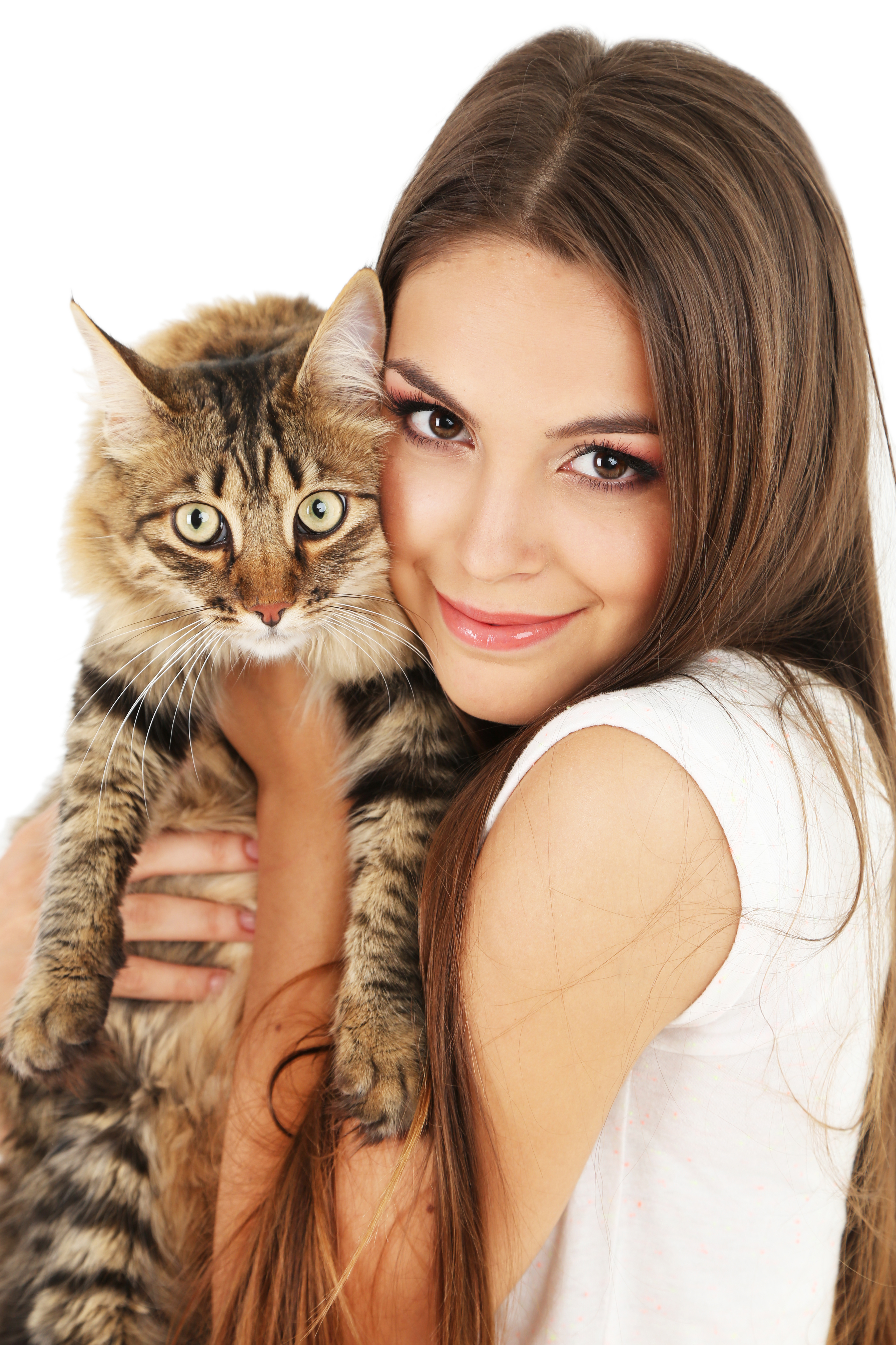 Картинка девушка с кошкой. Девушка с котенком. Красивая девушка с котиком. Женщина с кошкой. Женщина с котенком.