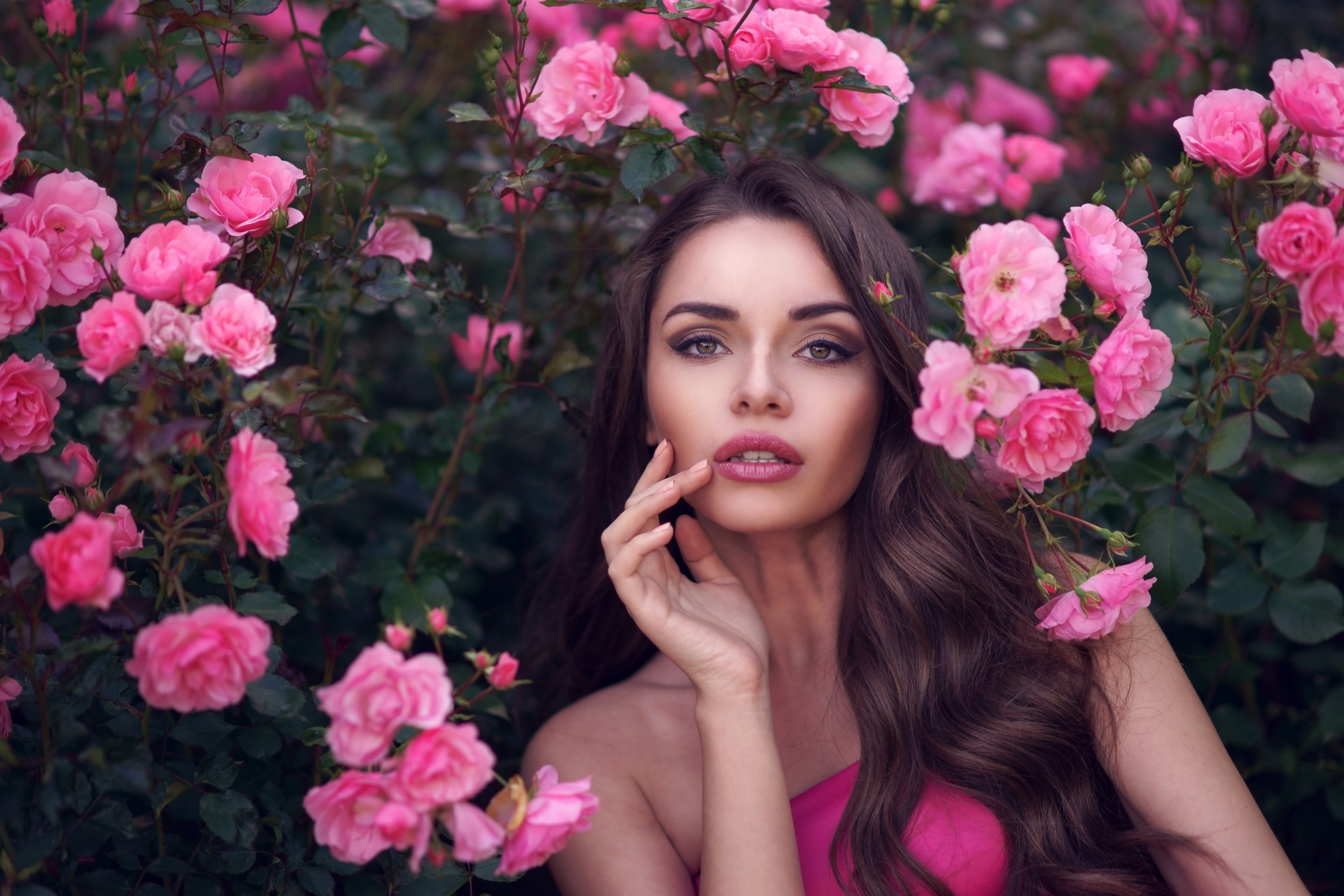 Charming woman. Девушка с розой. Девушка в цветах. Девушка с розовыми розами. Брюнетка в цветах.