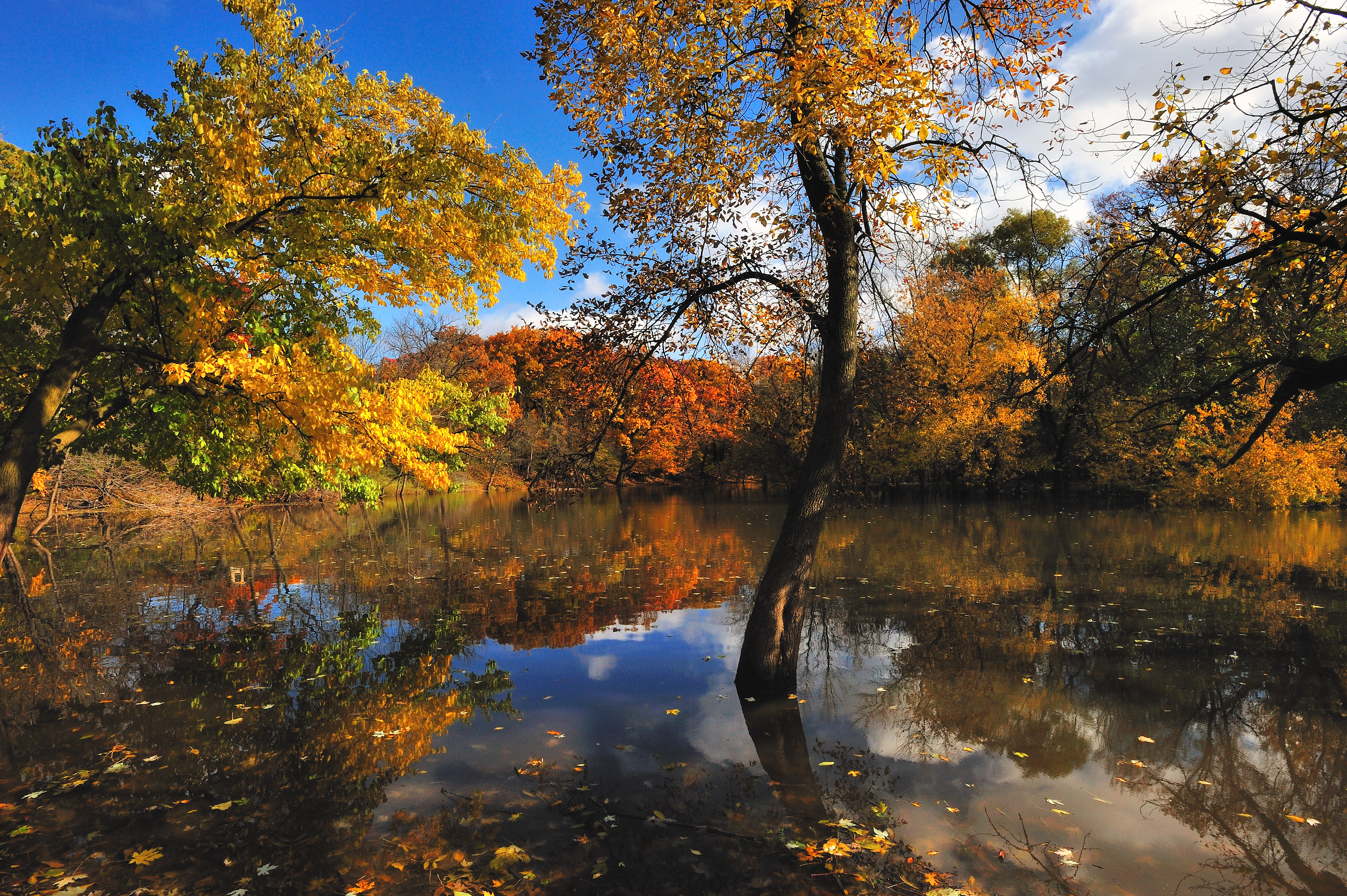 Картинки осени на рабочий. Природа осень. Природа осенью. Осень фото. Осенний пейзаж на рабочий стол.