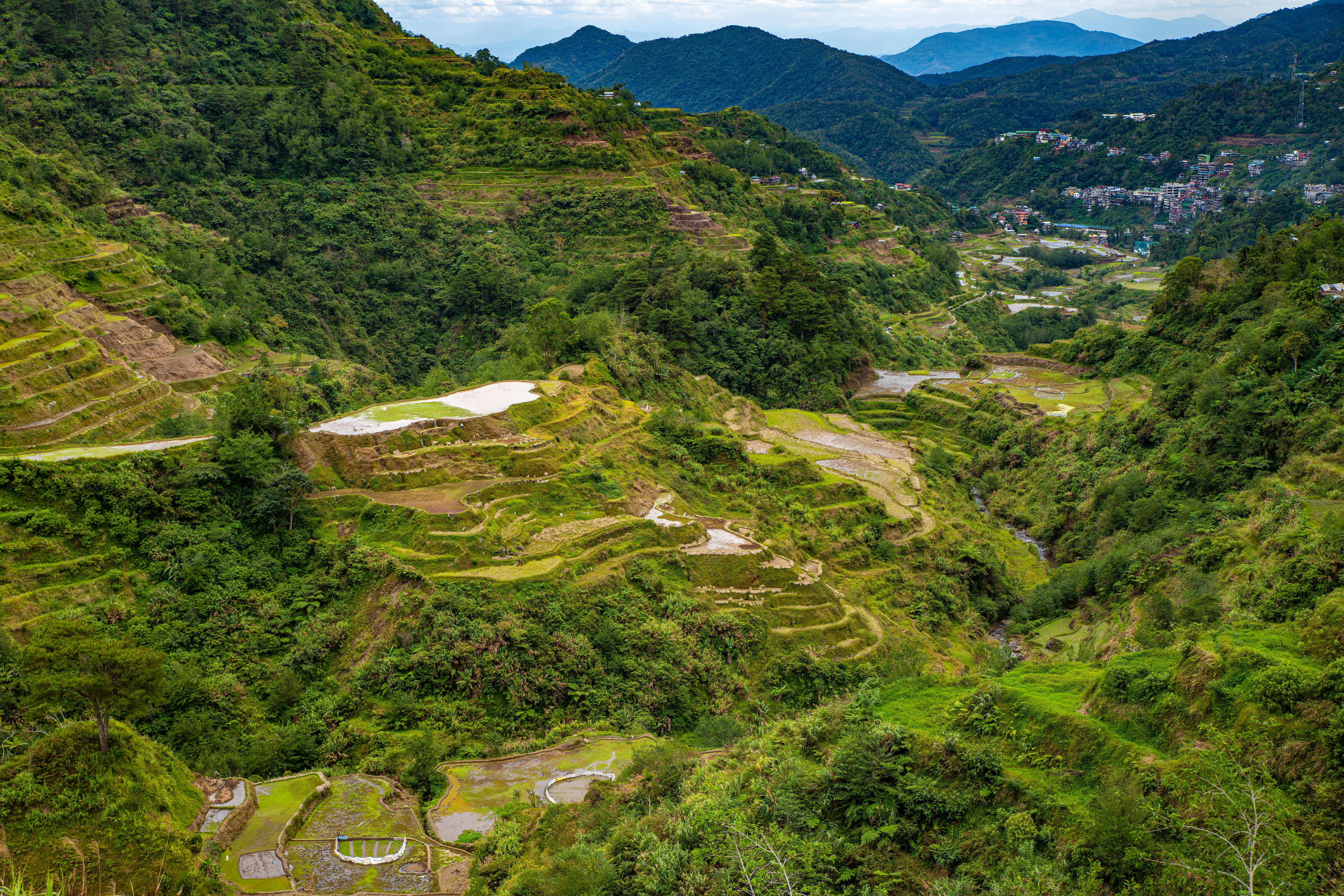 Картинка Филиппины Banaue rice terraces, Ifugao гора Природа Поля Сверху дерево Горы дерева Деревья деревьев