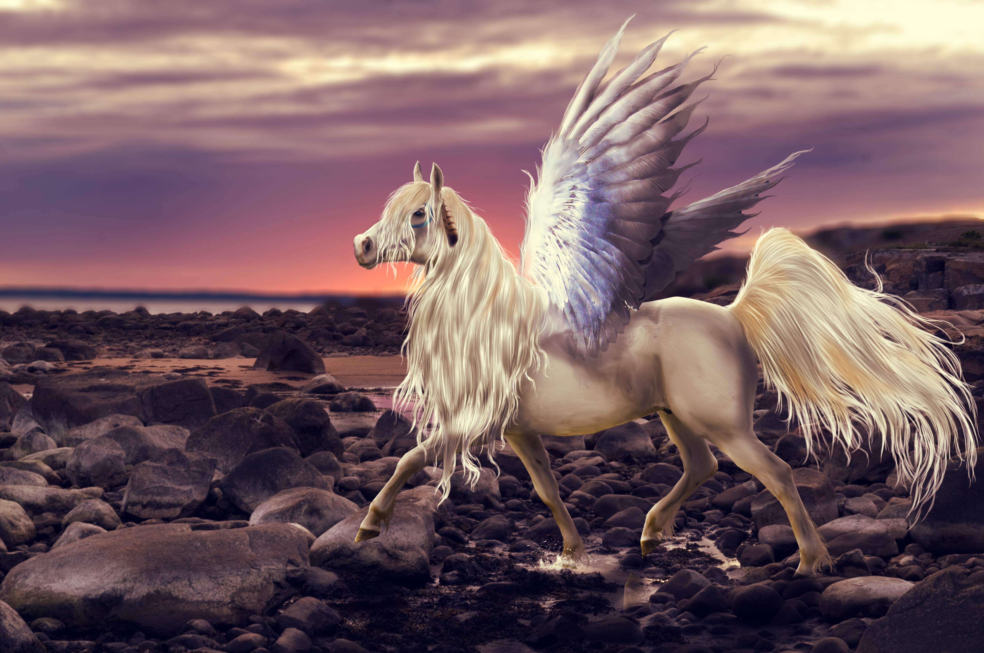 Horse life пегасы. Крылатый конь Пегас. Пегас, мифический конь. Лошадь с крыльями. Лошади волшебные.