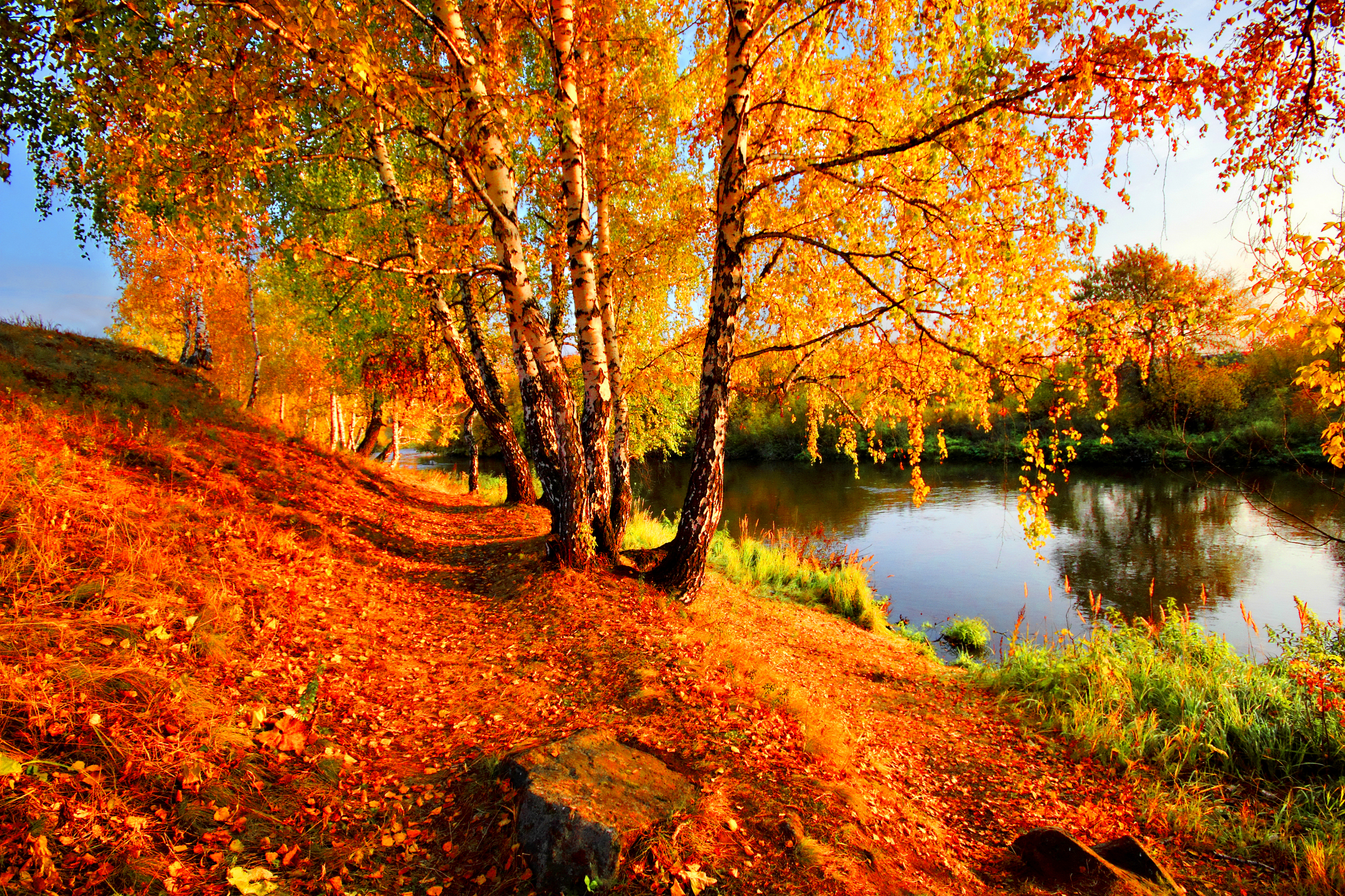 Красивые осенние картинки. Телевизор DEXP f22b7200c 22". Телевизор DEXP u40b9000h 40" (2015). Осень. Красивая осень.