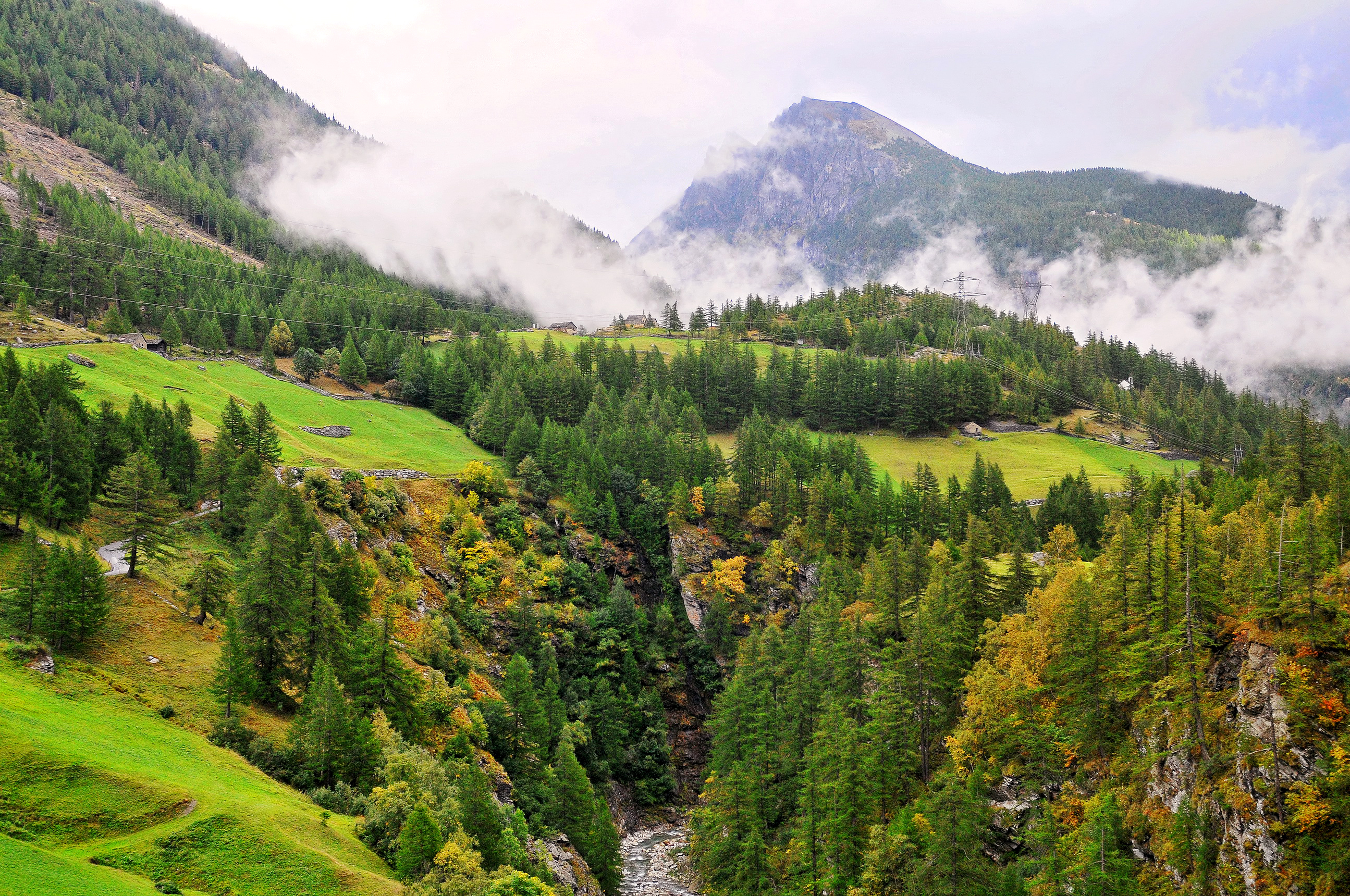 А также самую разнообразную. Лесистые холмы Швейцария. Широколиственные леса Швейцарии. Швейцарская Саксония лес. Лес и горы Швейцария.
