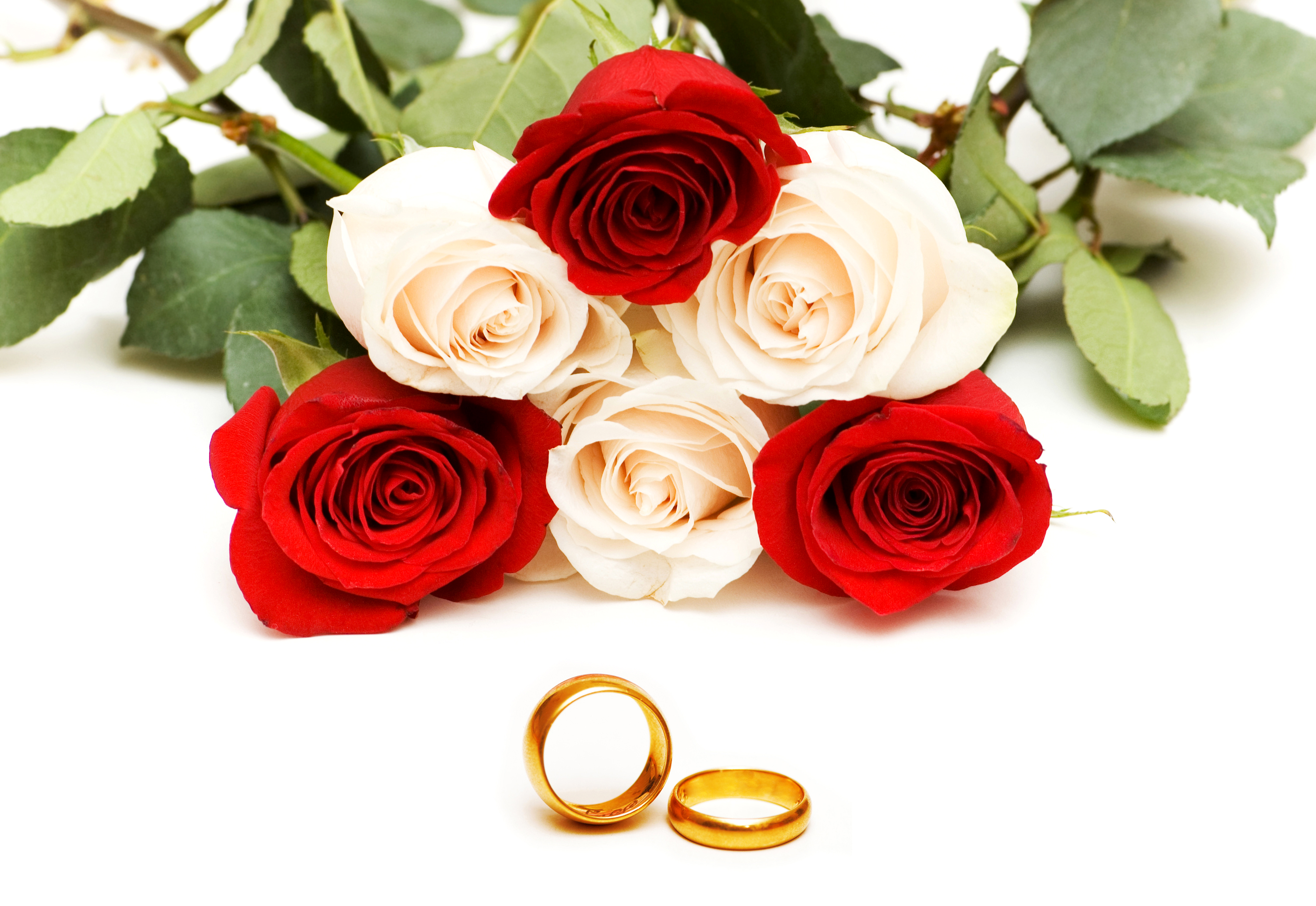 Клипарт на прозрачном фоне обручальное кольцо и розы