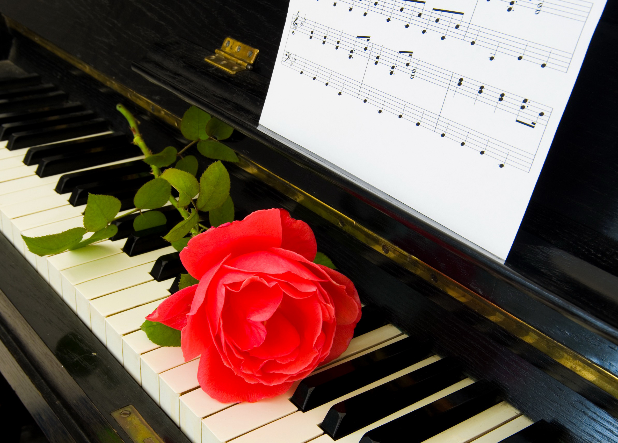 Снимаю с клавиши рояль. Рояль с цветами. Фортепиано. Цветы на рояле. Пианино с цветами.