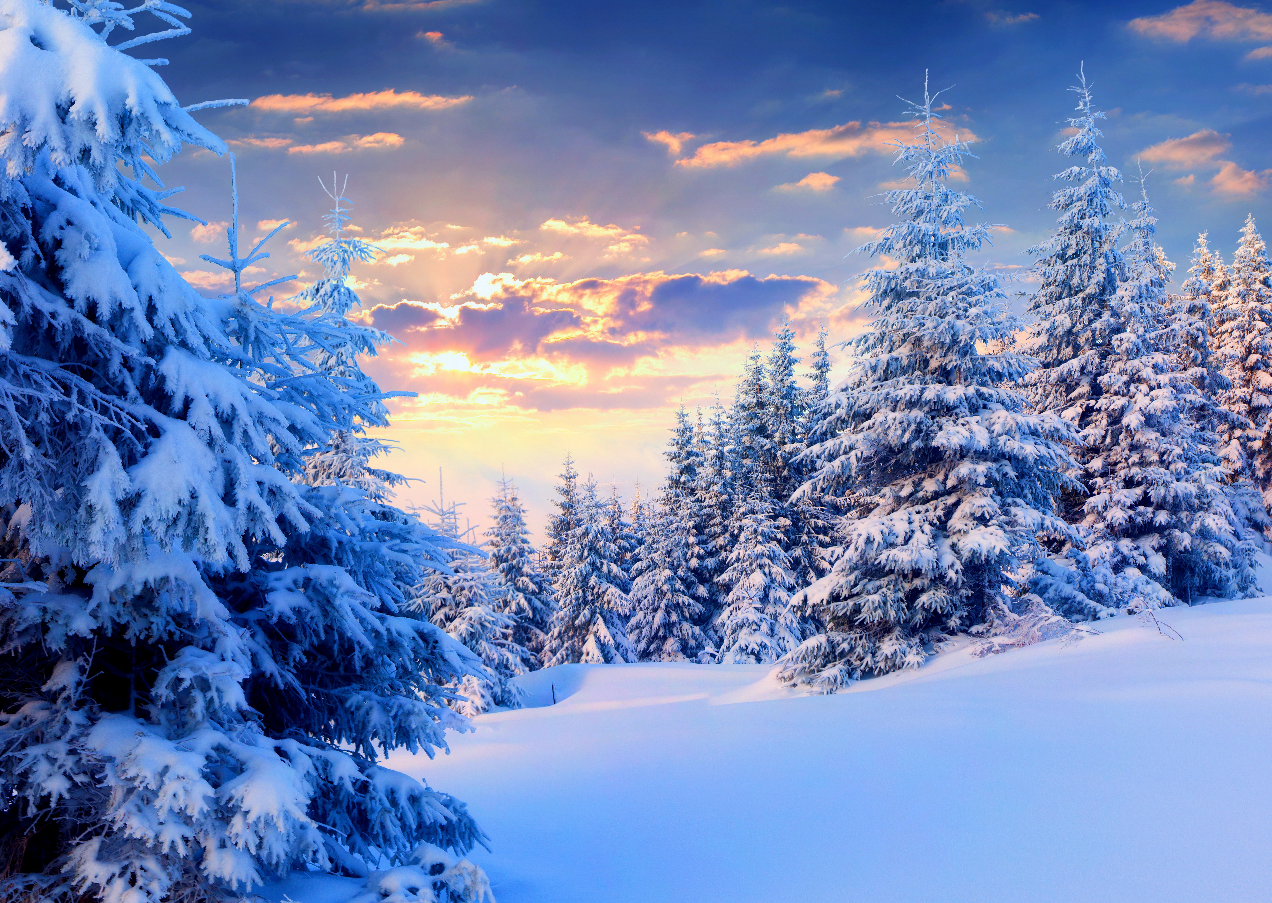 Видео природа зима. Зимний пейзаж. Зимняя природа. Зима снег. Снежный пейзаж.