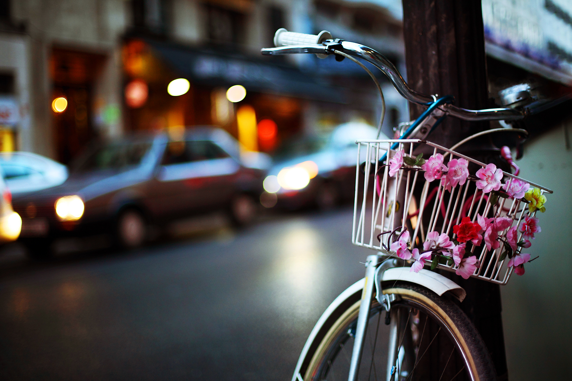 Велосипед с корзинкой цветов без смс