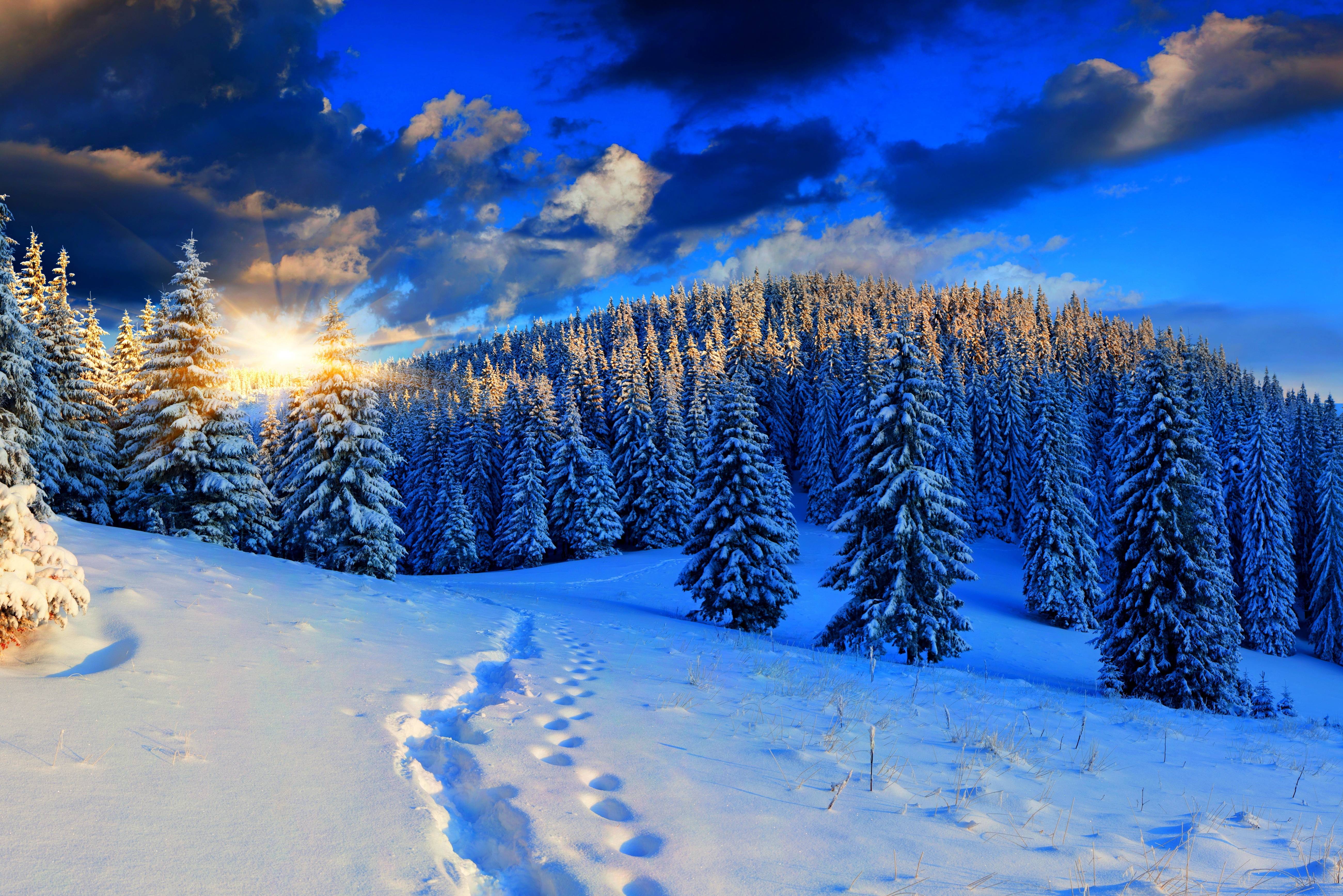 Красивая зима. Зимний лес. Зимняя природа. Сказочный зимний лес.