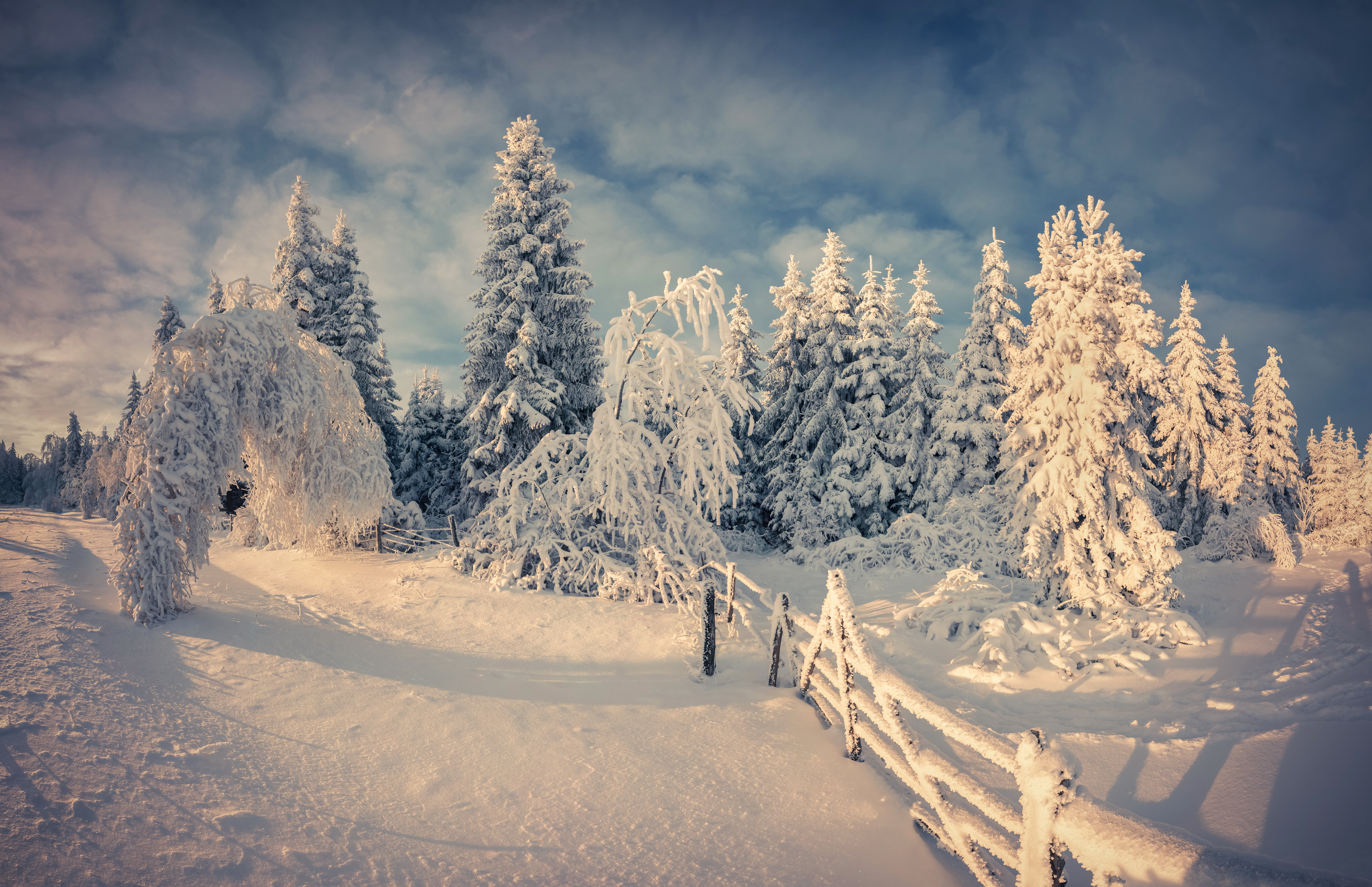 Зимняя сказка. Зимняя природа. Зима снег. Красивая зима. Зимний лес.