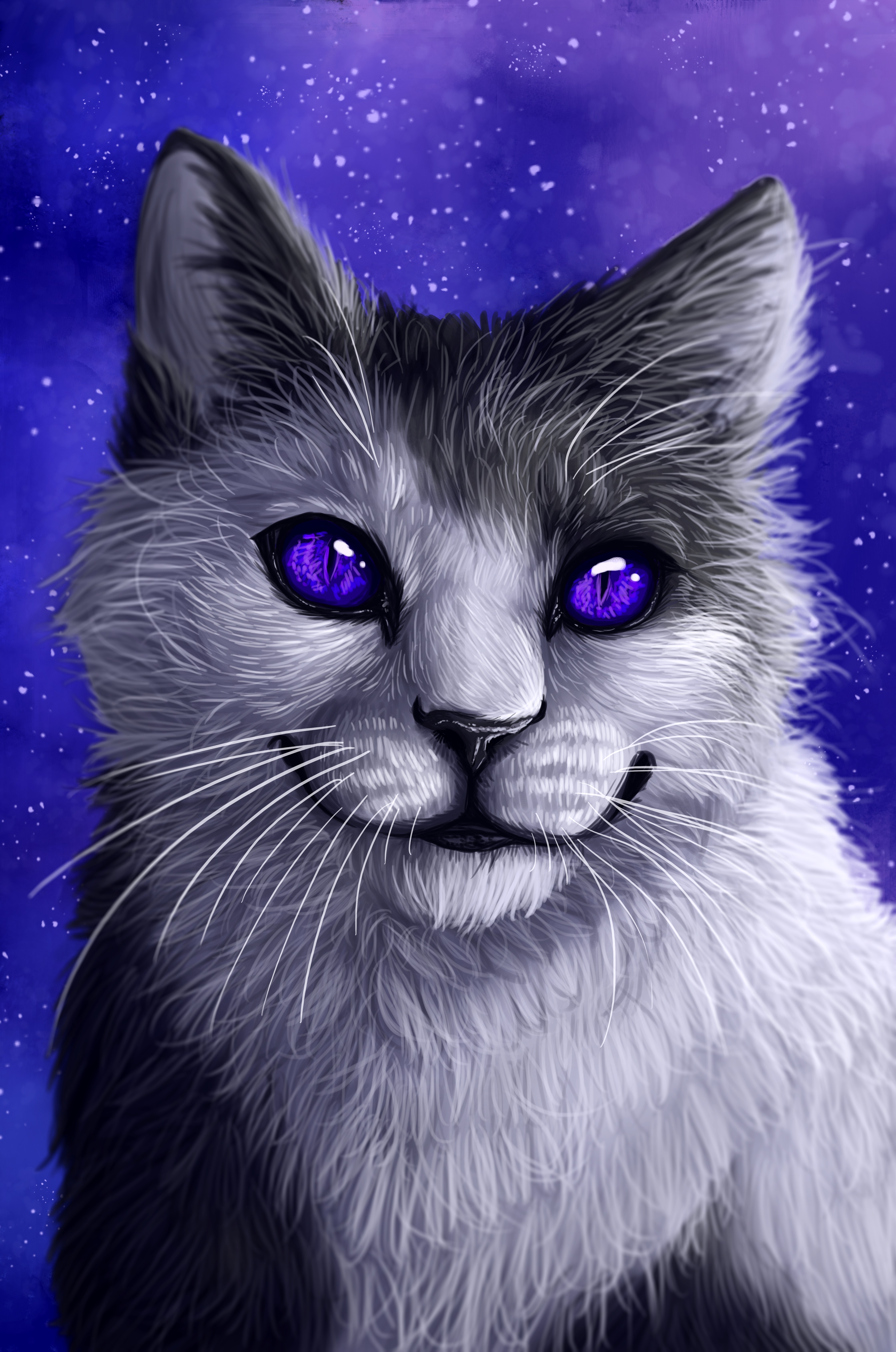 Аватарки кошки. Коты Воители голубоглазка. Коты Воители чёрный кот с голубыми глазами. Коты Воители Фиалковая звезда. Кот арт.