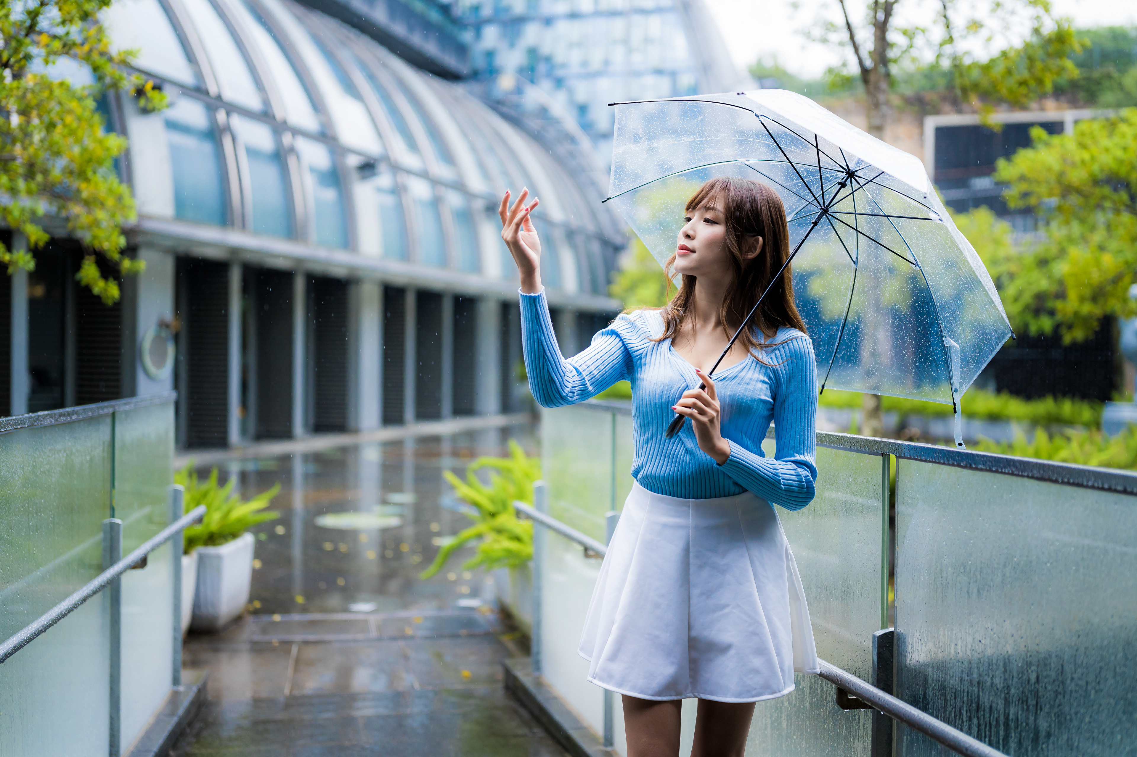 Фотографии Размытый фон позирует молодая женщина Дождь азиатки Зонт Руки боке Поза девушка Девушки молодые женщины Азиаты азиатка рука зонтом зонтик