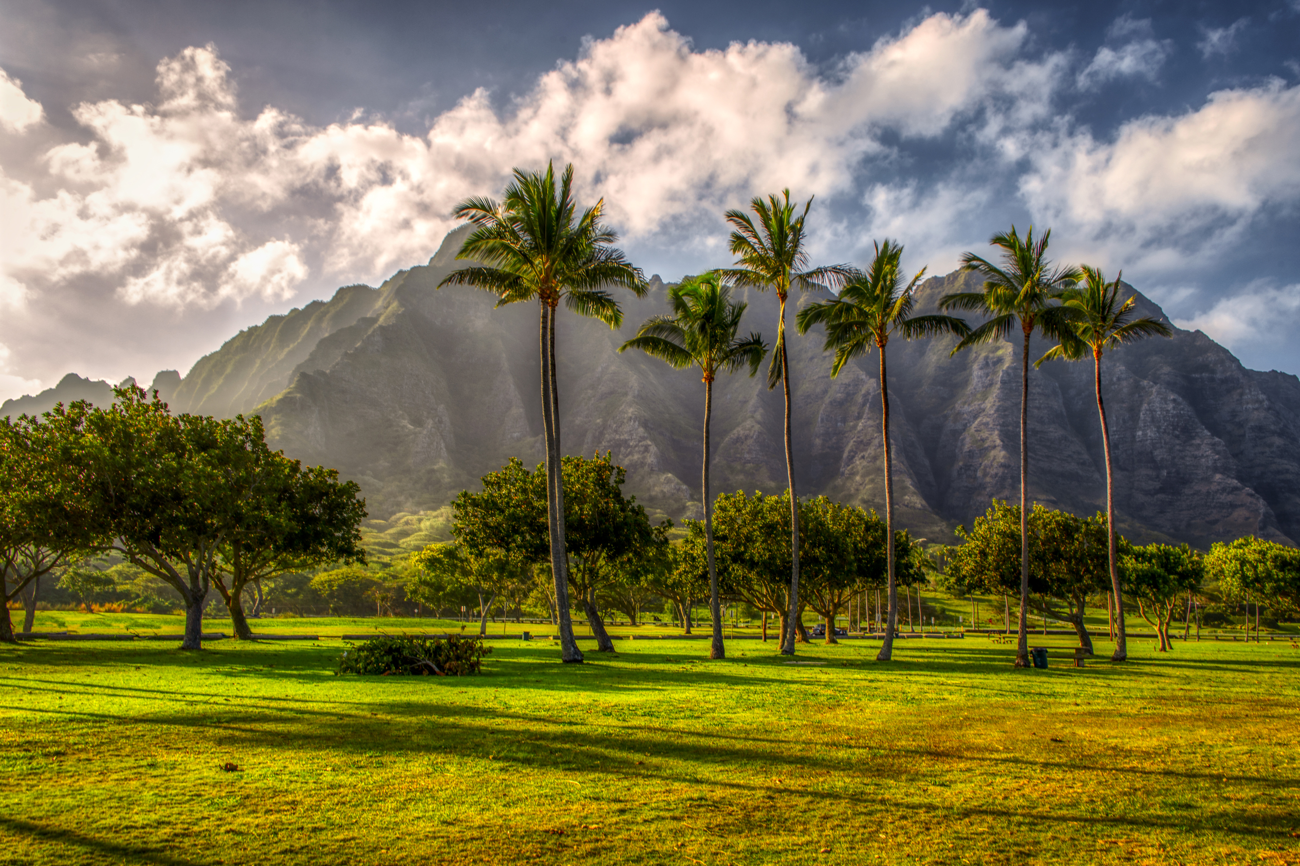Фотография Гавайи Горы Природа Пальмы Тропики газоне дерева 2670x1780 гавай...