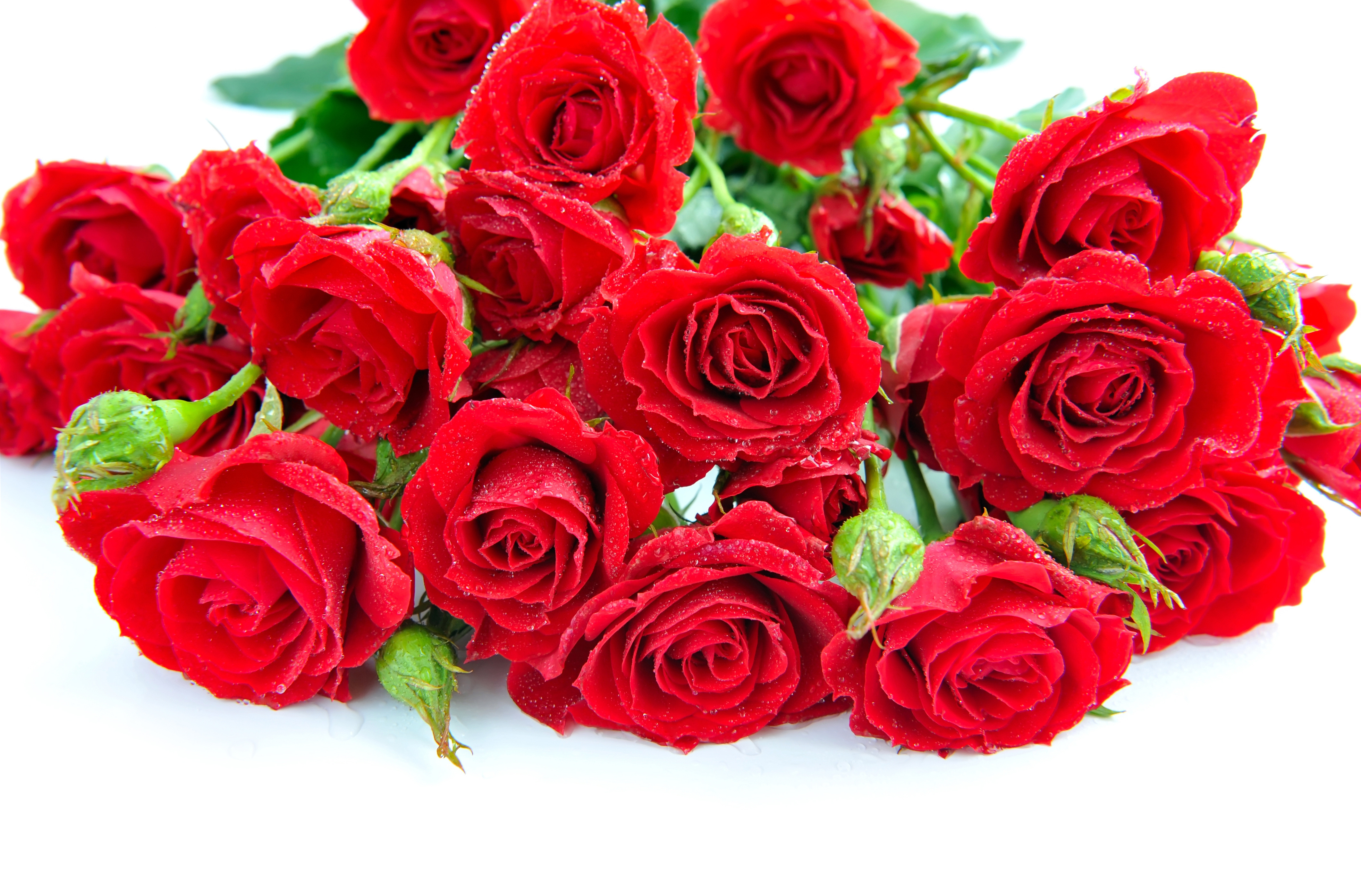 Красивые розы для красивой женщины картинки. Красные розы. Букет красных роз. Buket krasnix roz. Цветы розы красные.