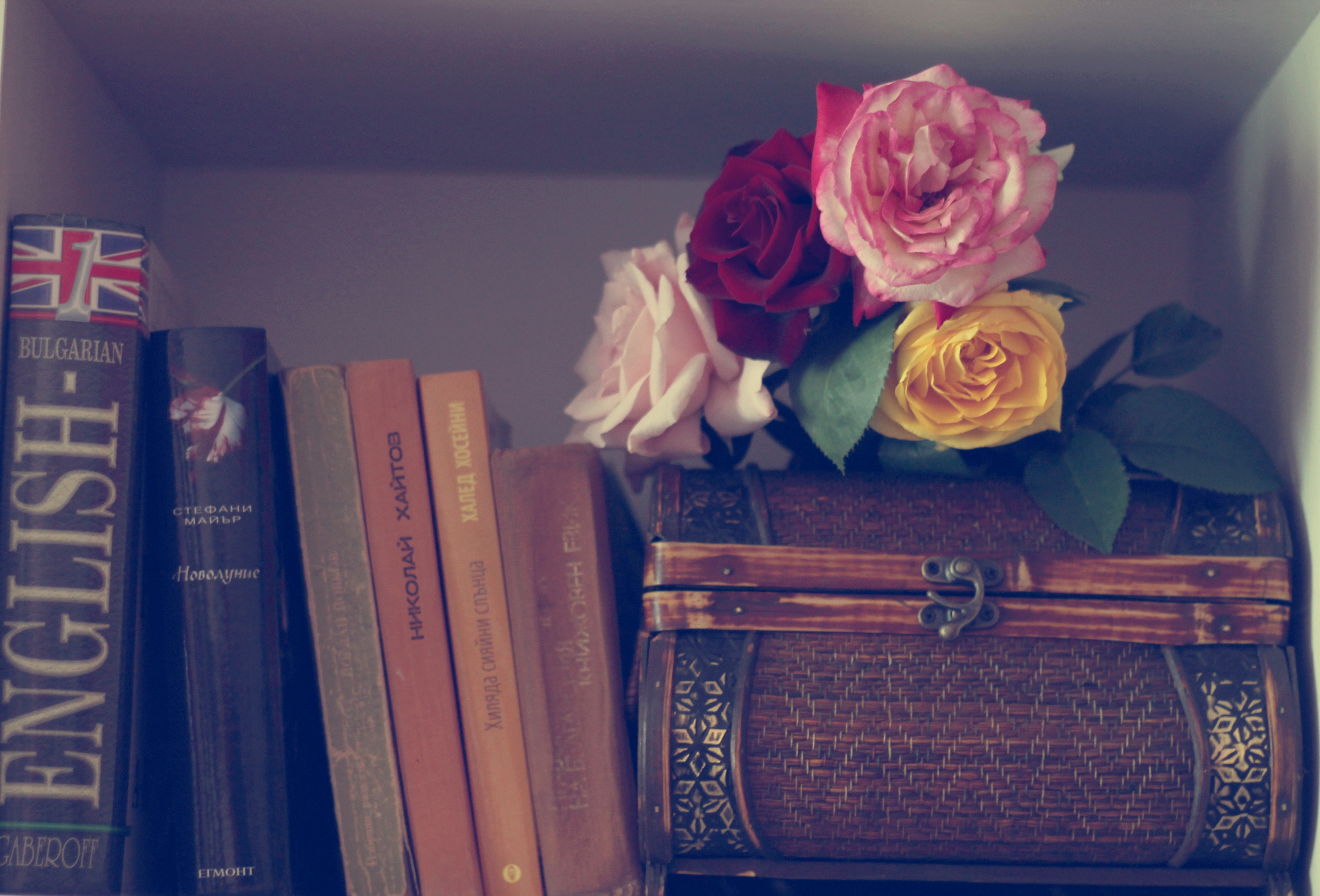 розы, книга, листья скачать