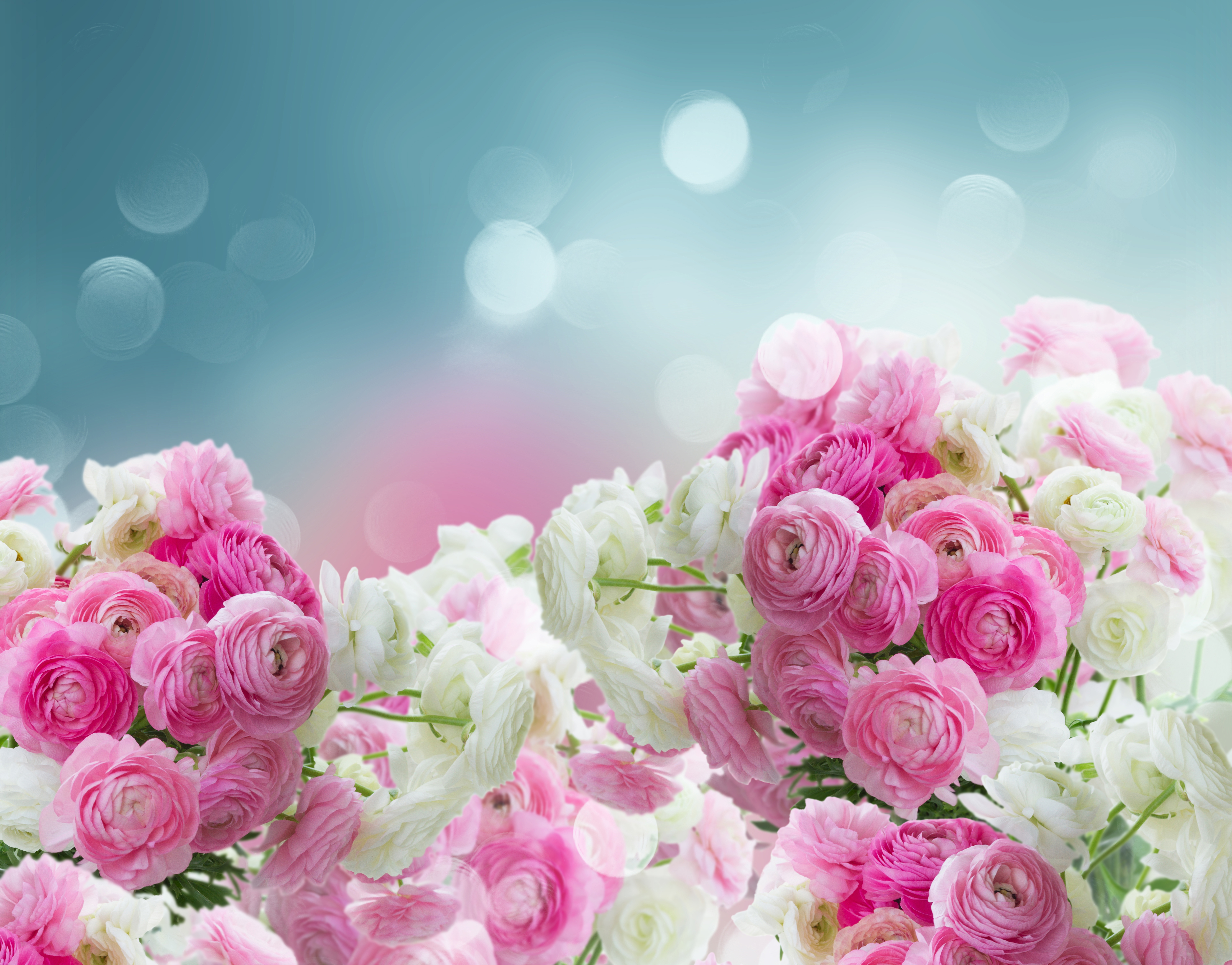 Будь самой нежной самой ласковой. Цветочный фон. Бело розовые цветы. Красивый фон цветы. Букет цветов фон.