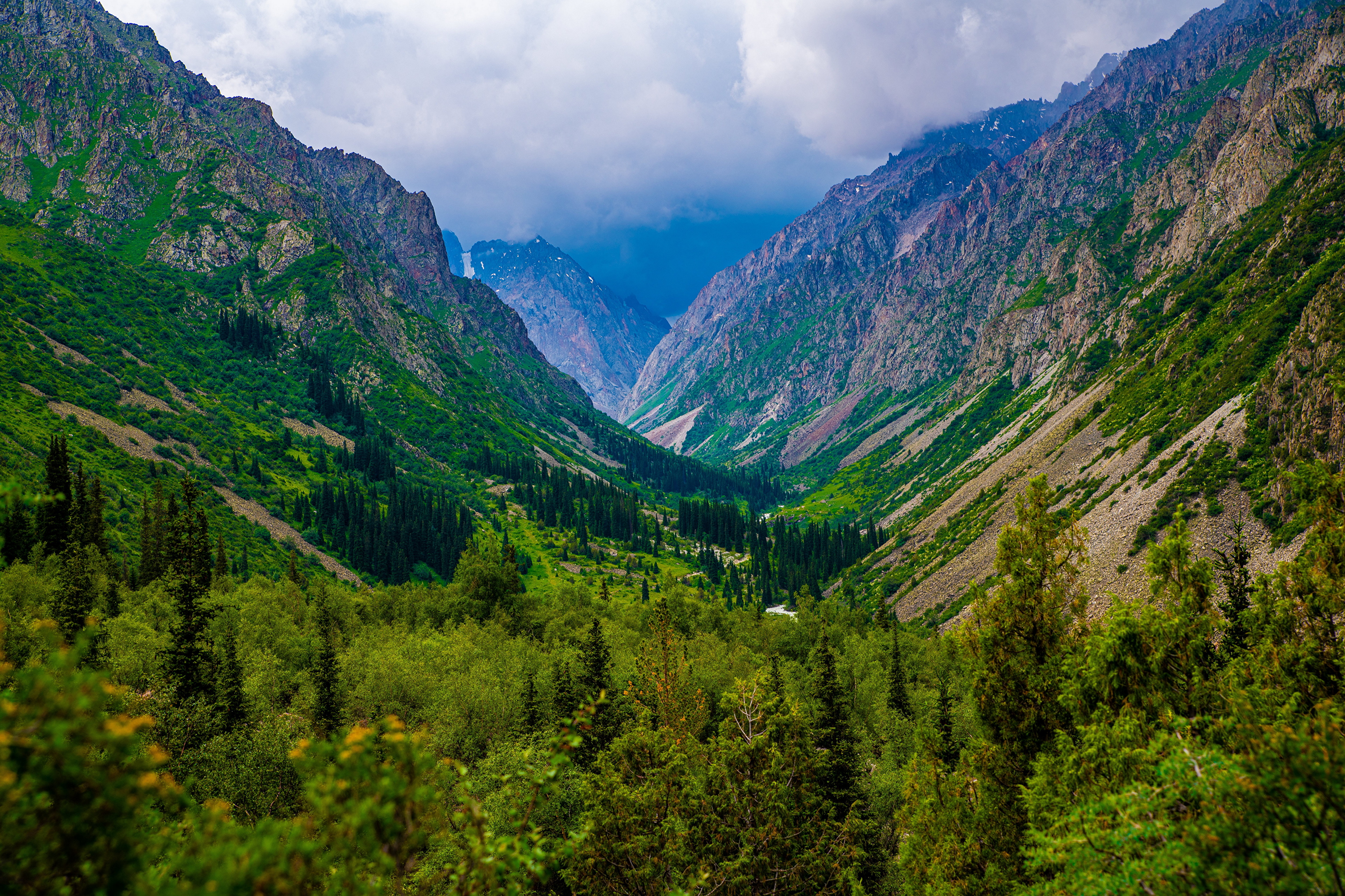 Ала алады. Ала-Арча национальный парк. Ала Арча Киргизия. Горы Киргизии ала Арча. Ущелье ала Арча.