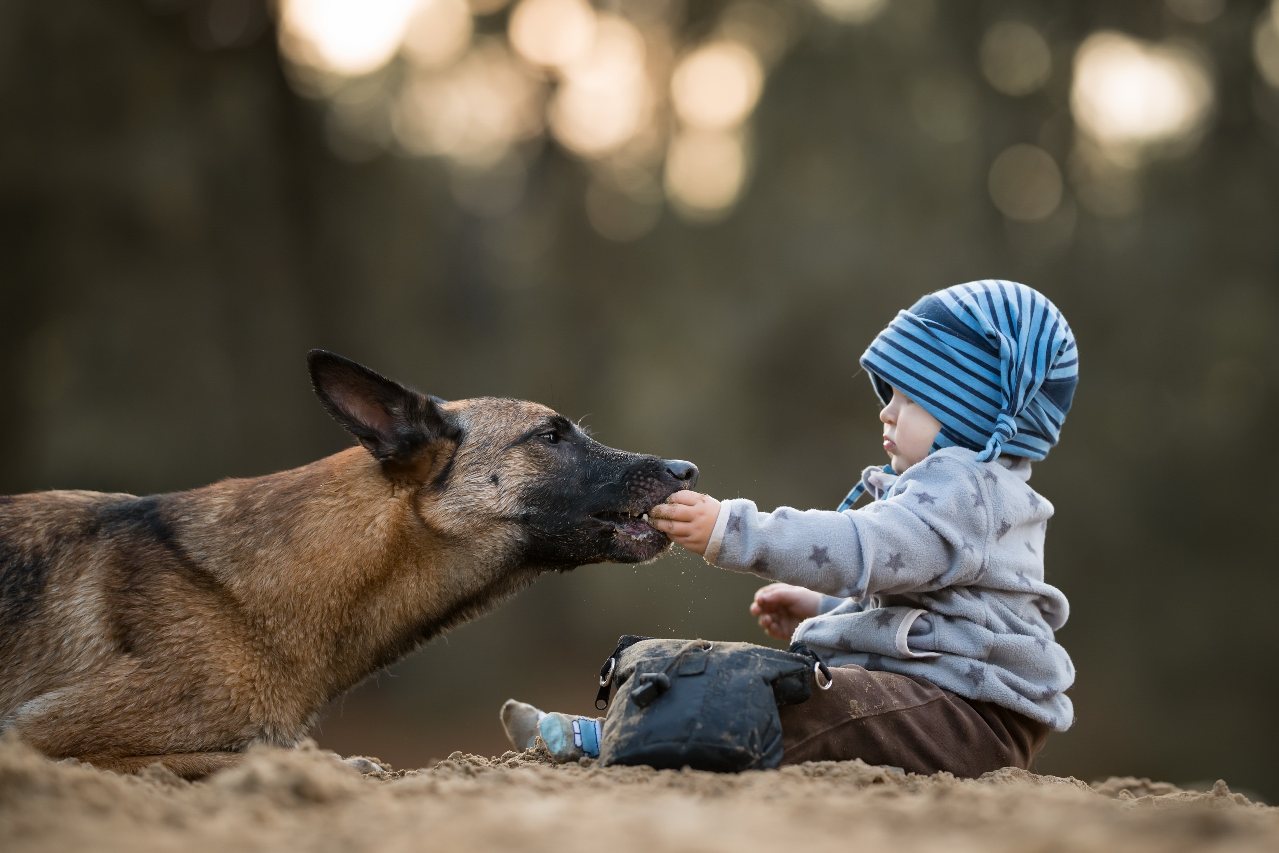 Ребенок человека и собаки фото