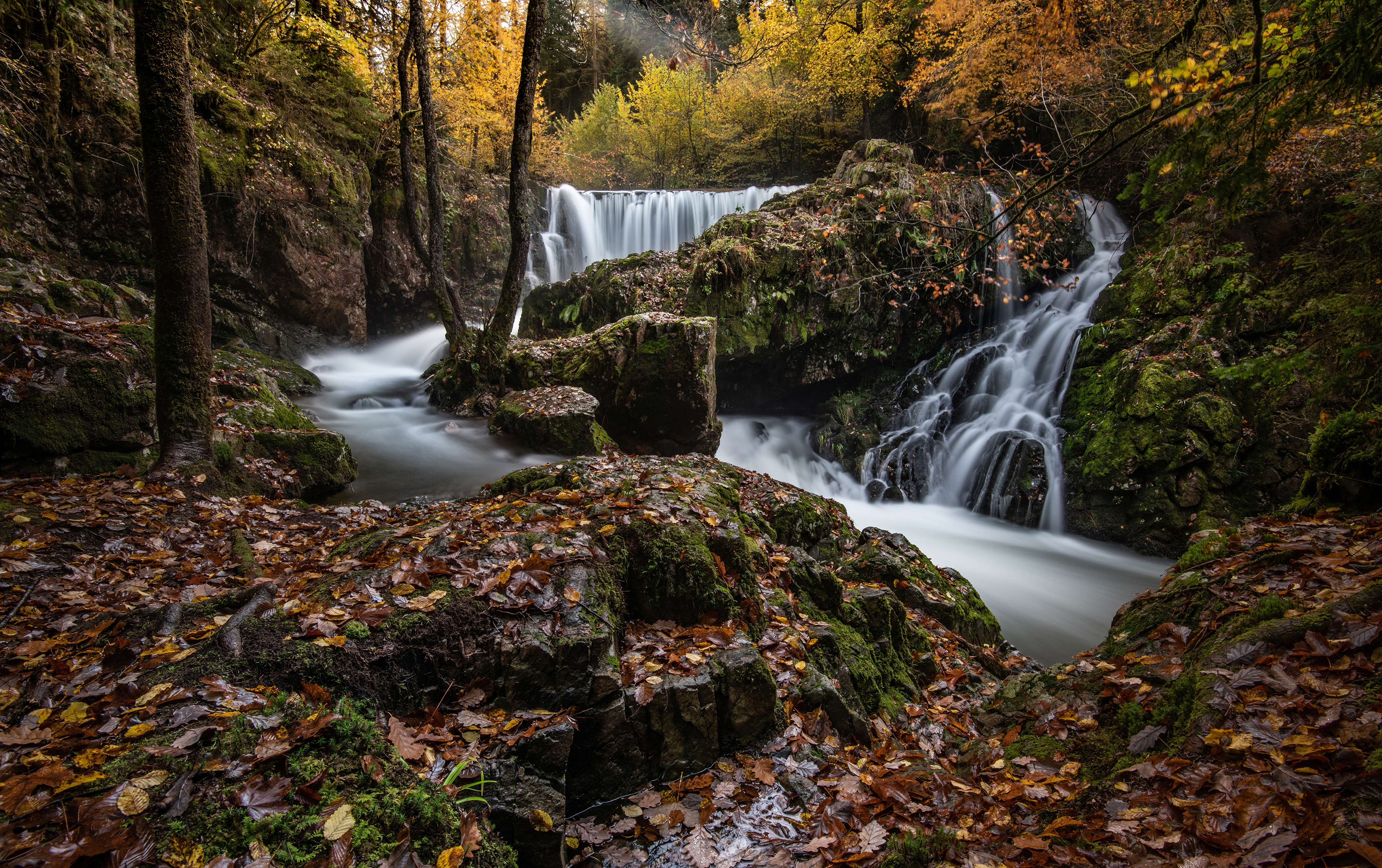 Фотографии лист ручеек осенние Природа Водопады Камни Листва Листья Осень Ручей Камень
