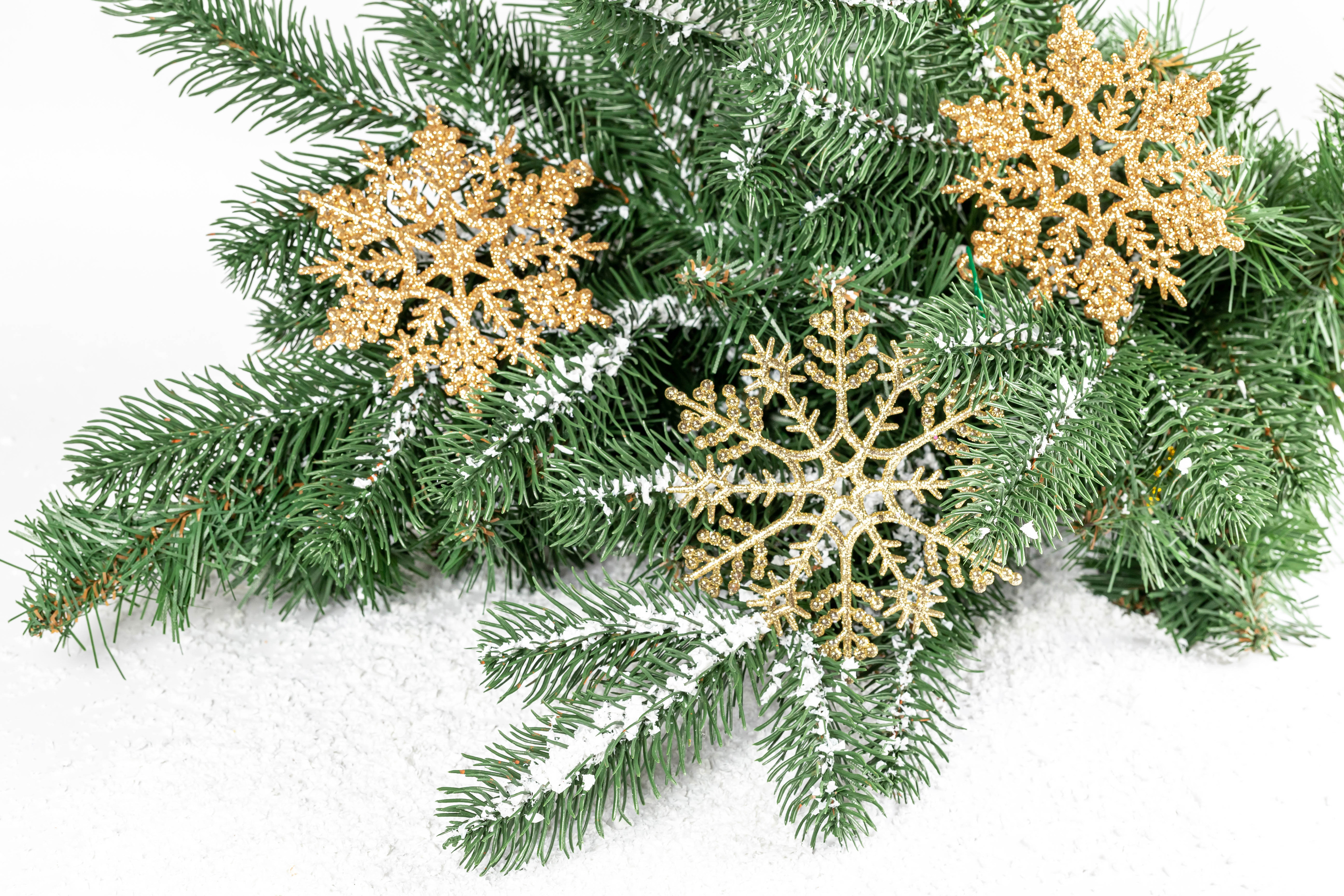 Фотографии Рождество снежинка снегу на ветке белом фоне 4200x2800 Новый год Снежинки Снег снега снеге ветвь ветка Ветки Белый фон белым фоном