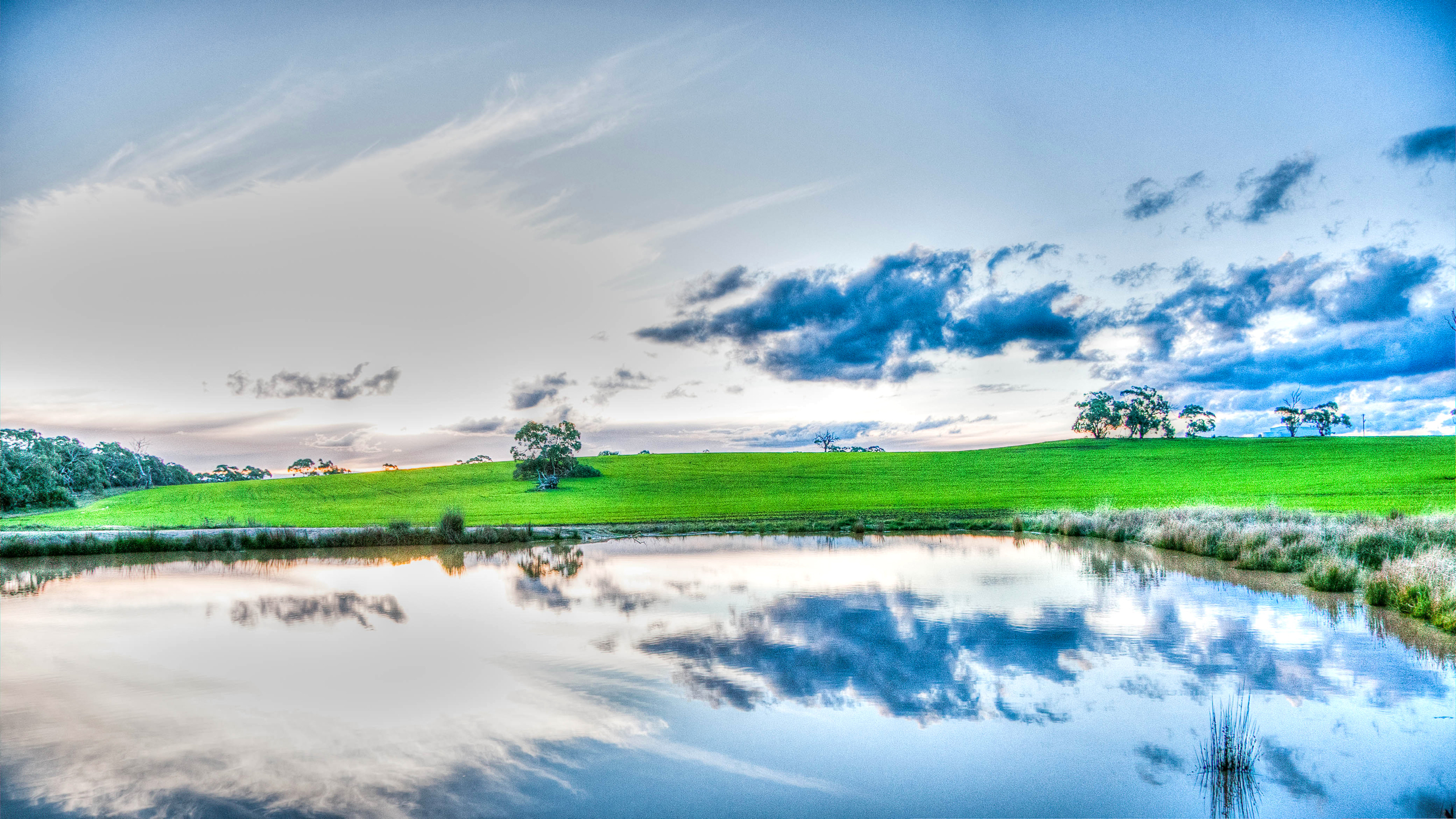 Трава, озеро, деревья, небо, облака бесплатно