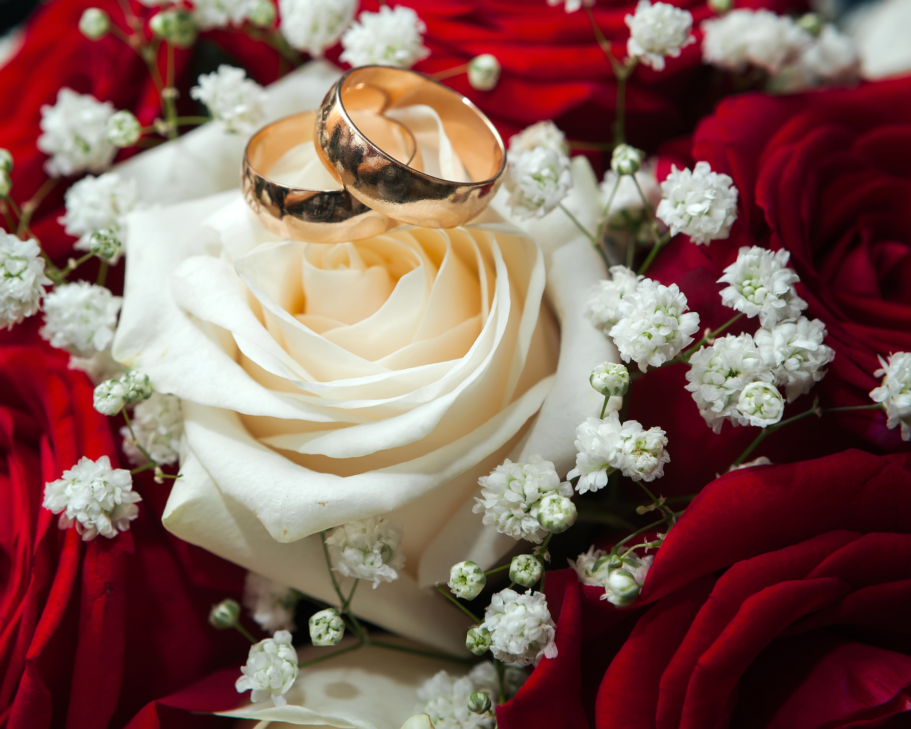 Разгадывать розы. Свадебный букет и кольца. Свадебные кольца в цветах. Свадебные цветы с кольцами. Розы и обручальные кольца.