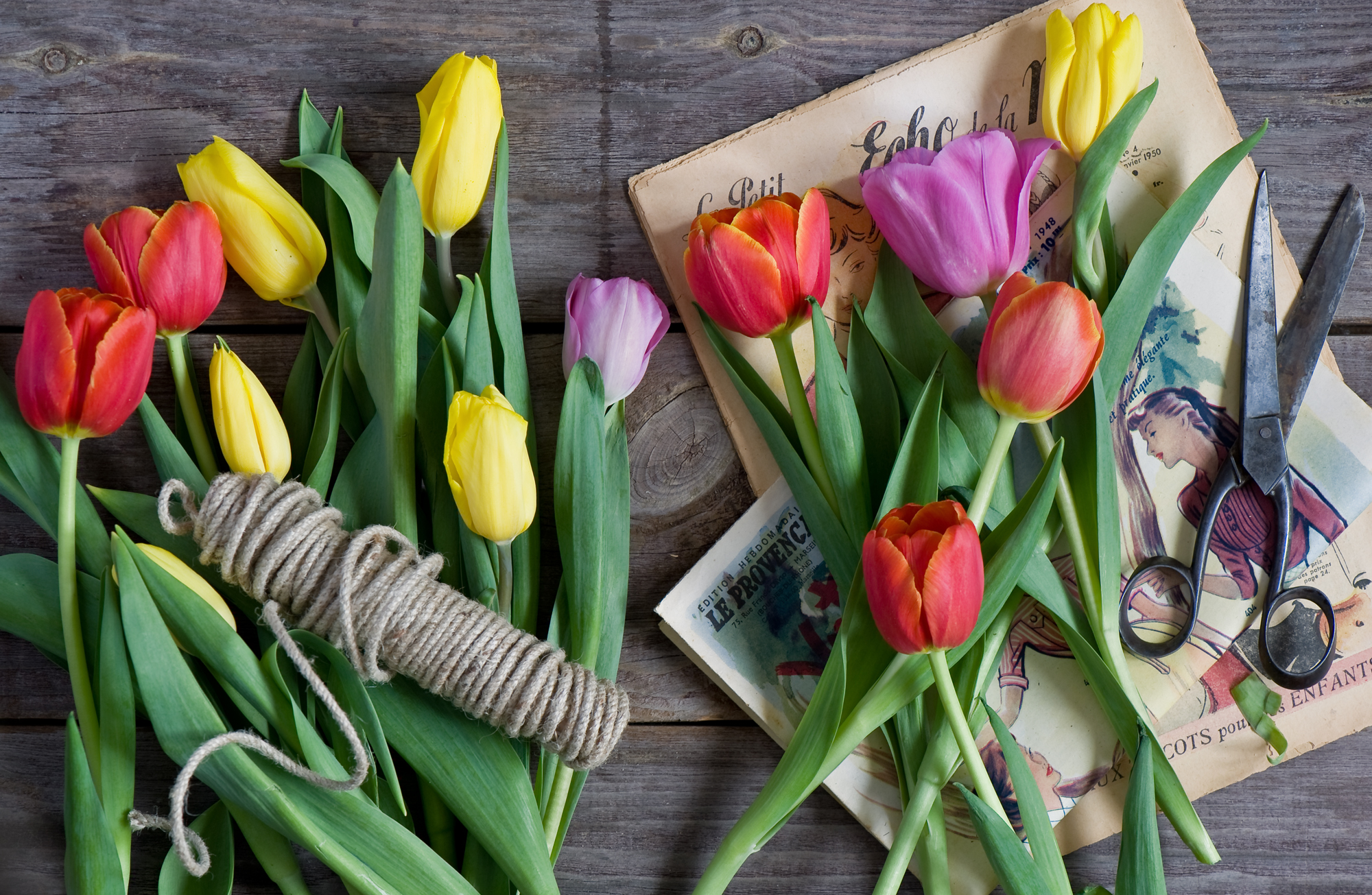 Тюльпаны слоганы. Тюльпаны разноцветные. Стильные тюльпаны. Букет тюльпанов. Креативный букет тюльпанов.