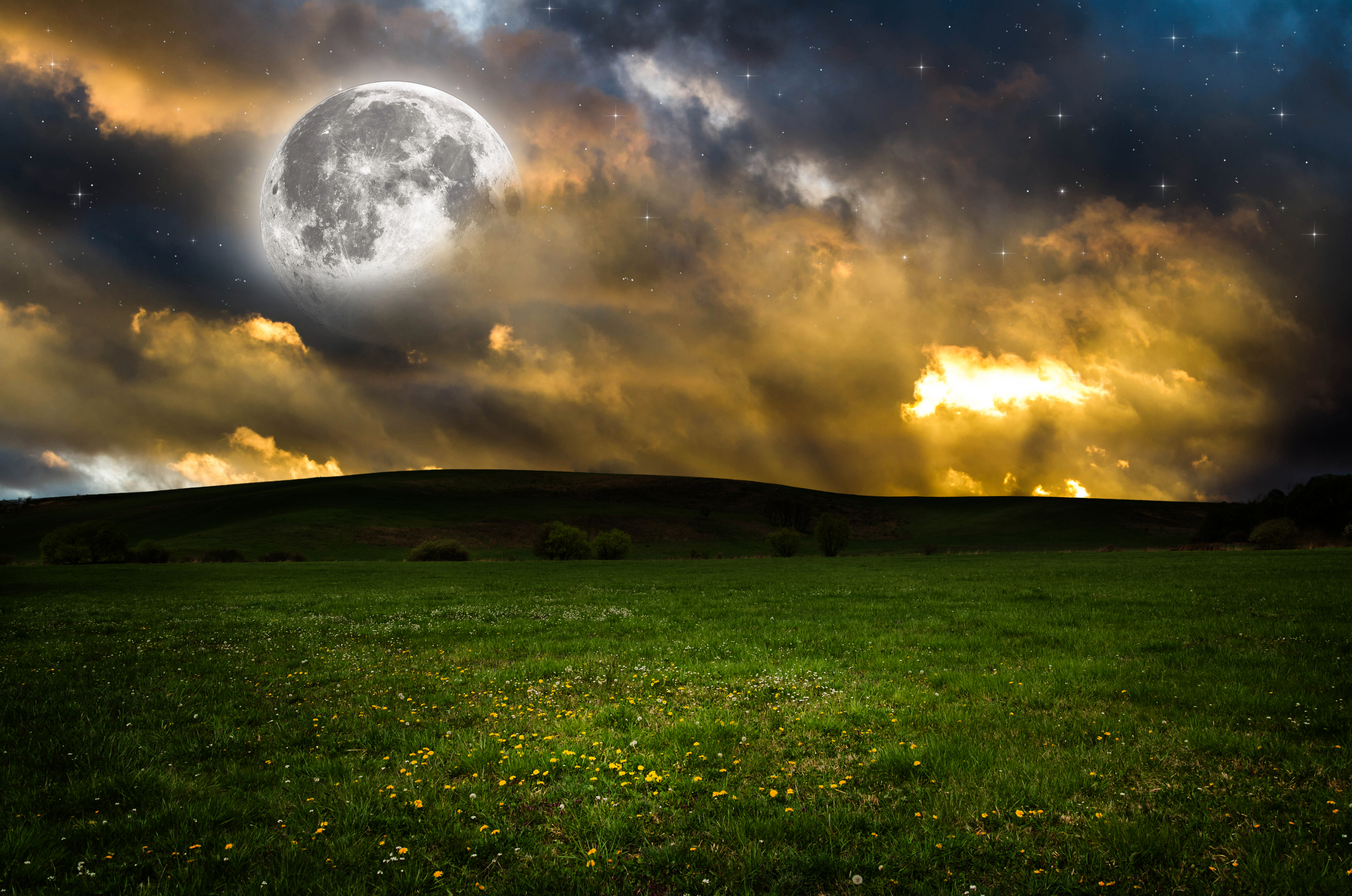 Луна над полями. Луг ночью. Поле ночью. Луна на небе. Природа Луны.