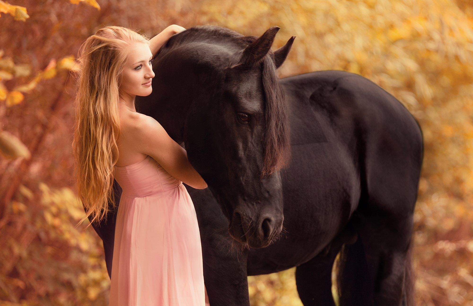 девушка шляпа лошадь лицо животное скачать
