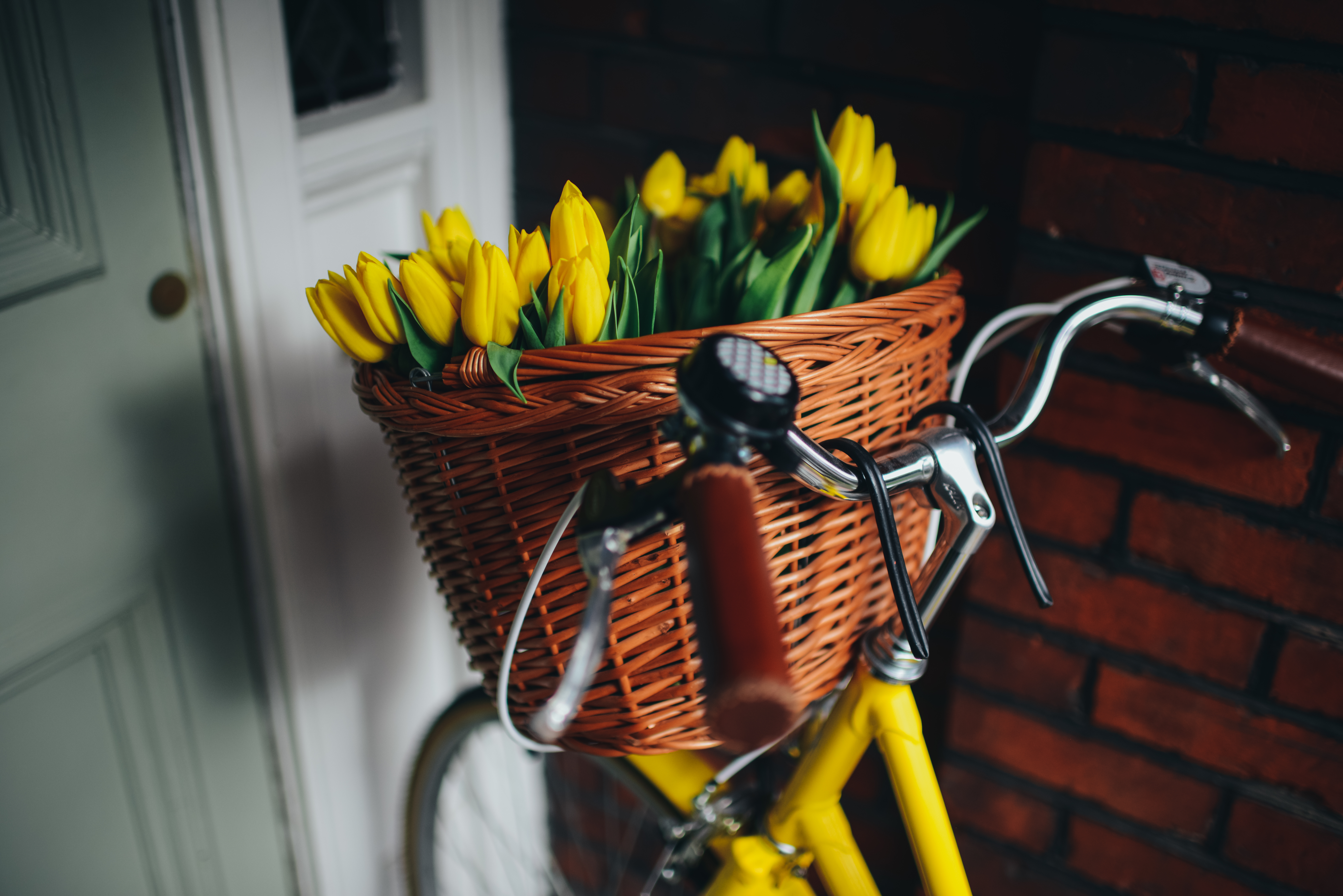 Декор цветы в велосипеде загрузить