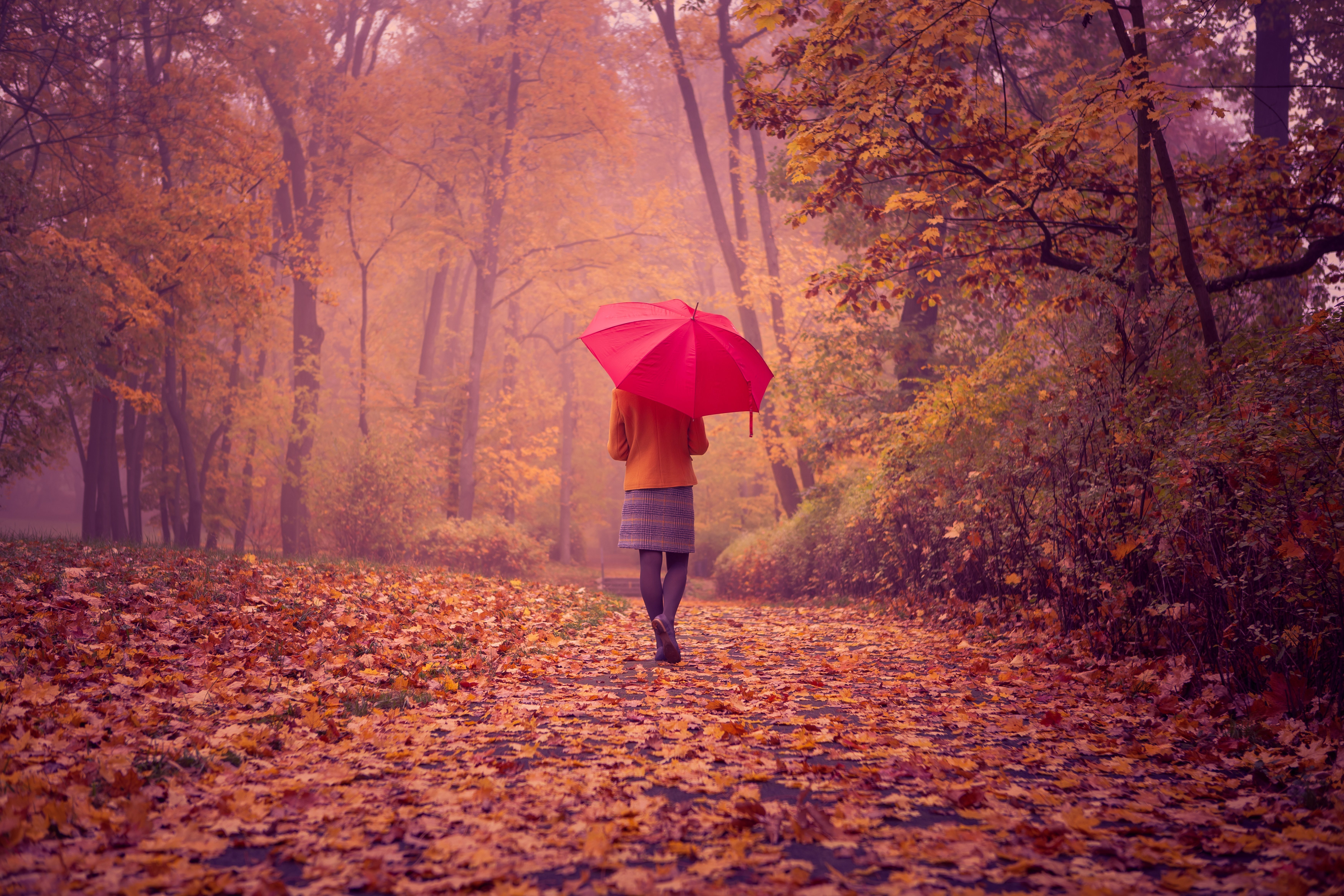 девушка зонт дождь природа скачать