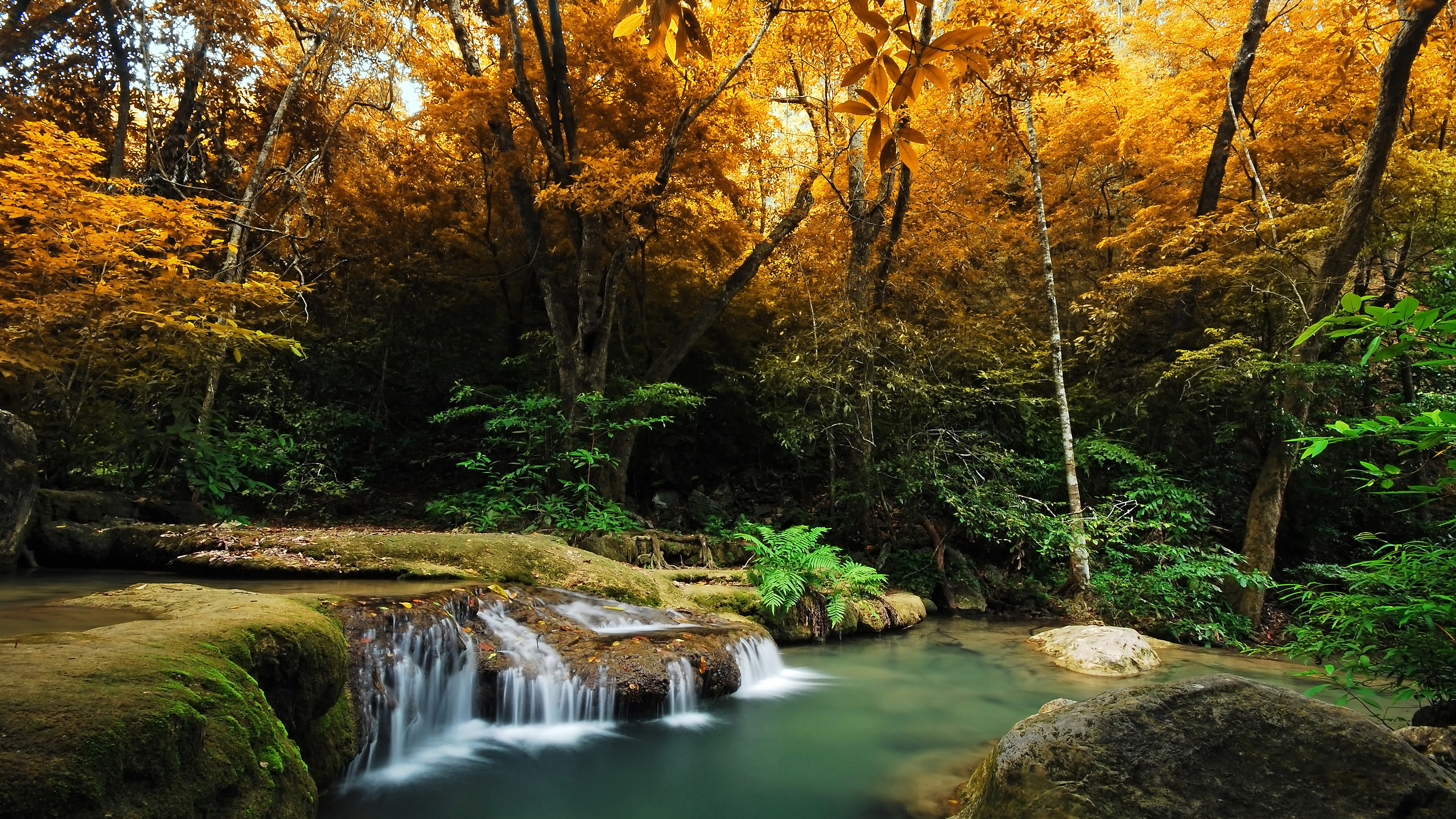 природа водопад осень листья деревья скачать