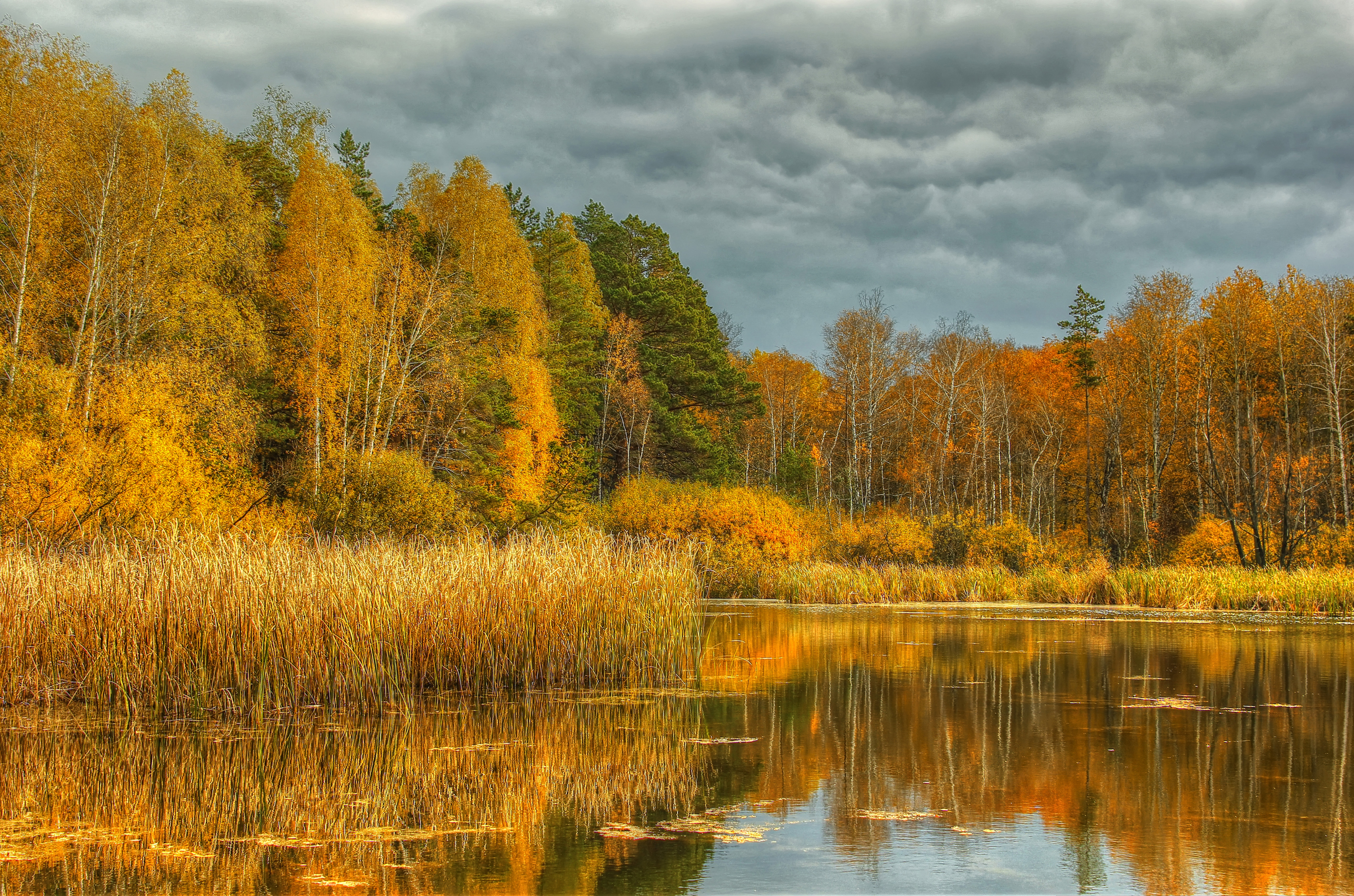 Осенний пейзаж. Осень. Осень в России. Пейзаж осени. Природа осенью.