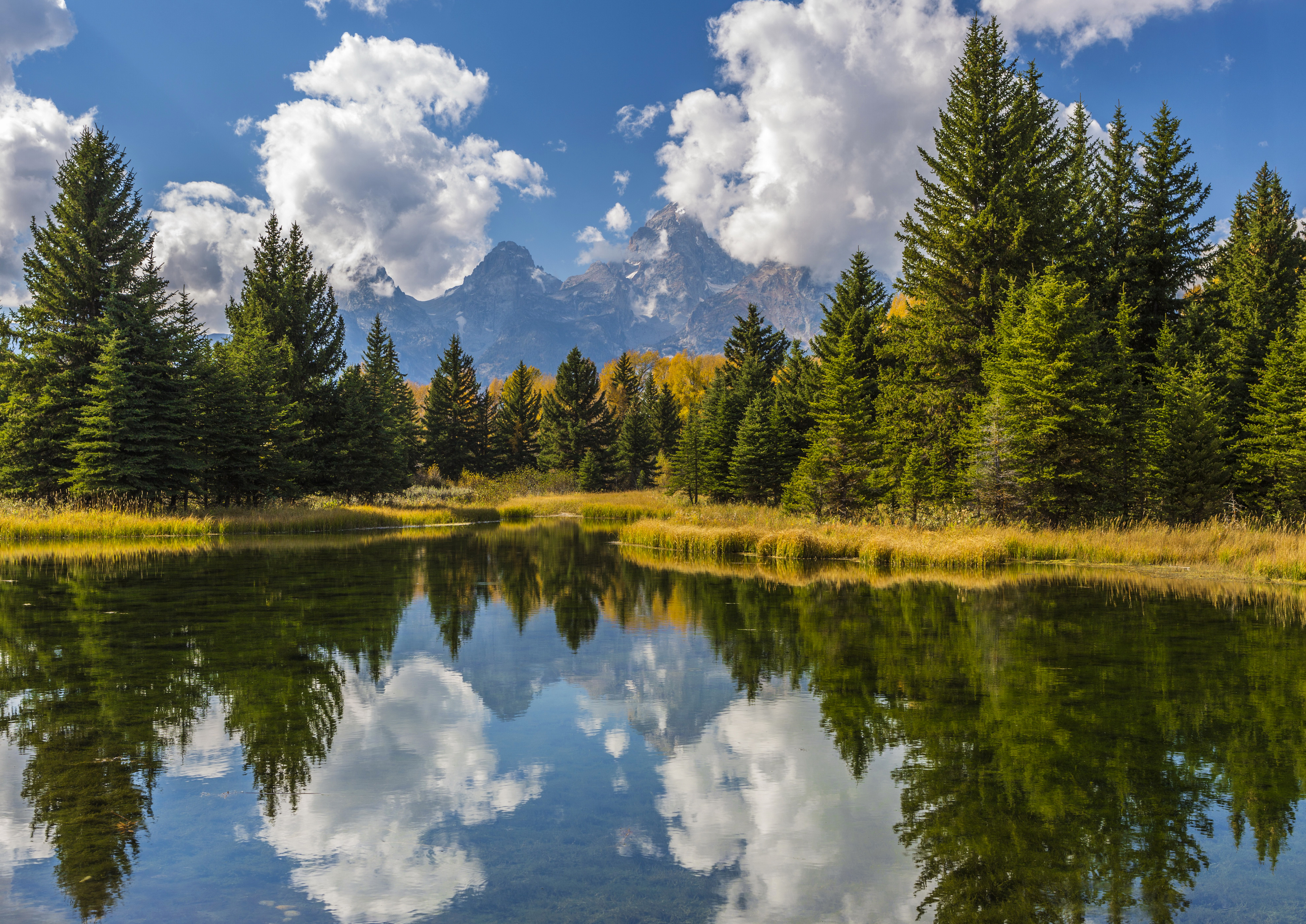Фото америка Grand Teton ели Природа Парки Озеро Вода облачно США штаты Ель парк воде Облака облако