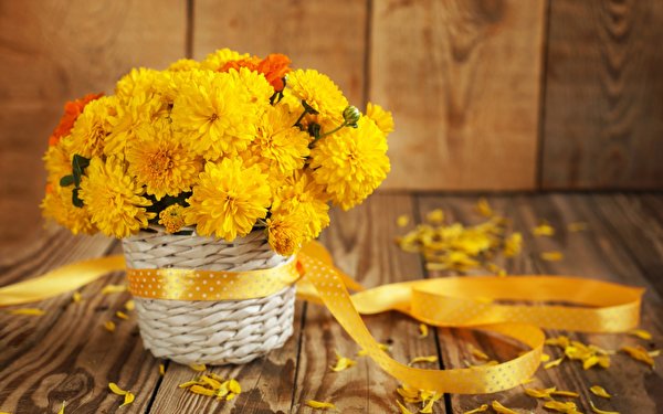 Фотография Букеты желтые Лепестки Цветы Лента 600x375 букет желтая Желтый желтых лепестков цветок ленточка