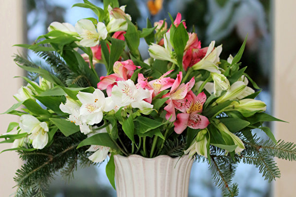 Фотографии Букеты Цветы Альстрёмерия 600x399 букет цветок