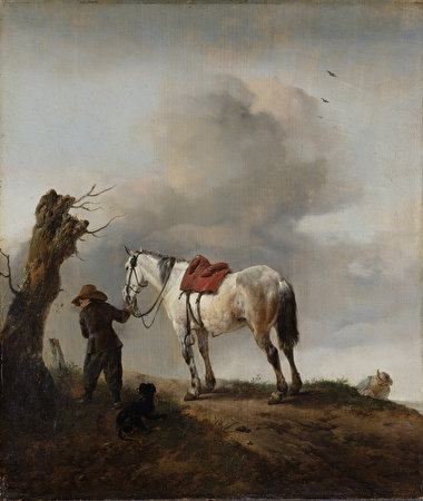 Обои для рабочего стола Лошади Philips Wouwerman, The White Horse картина 380x450 лошадь Живопись