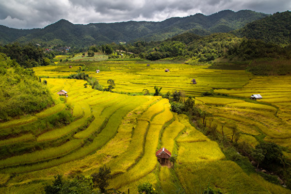 Картинка Вьетнам Природа Поля Холмы 600x400 холм холмов