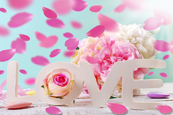 Фото День всех влюблённых Английский Любовь текст Цветы 600x401 День святого Валентина английская инглийские слова цветок Слово - Надпись