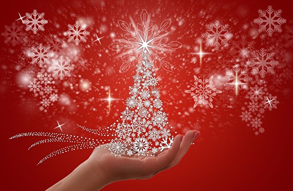 Фотография Новый год Звездочки снежинка Новогодняя ёлка Руки 600x392 Рождество Елка Снежинки рука