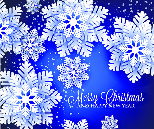 Фотографии Рождество английская Снежинки Векторная графика 540x450 Новый год Английский инглийские снежинка