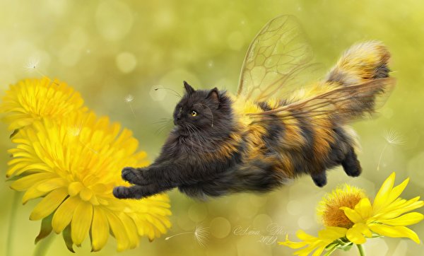 Cats_Bees_Creative_Dandelions_Wings_Flight_584872_600x362.jpg