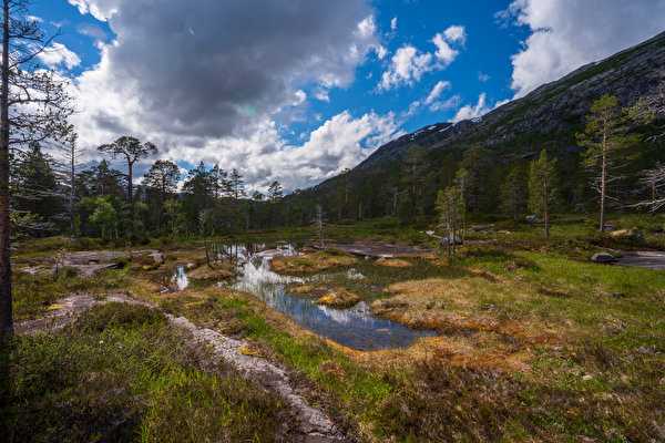 Картинки Норвегия Rago National Park гора Природа Парки дерево Облака 600x400 Горы парк дерева облако Деревья облачно деревьев