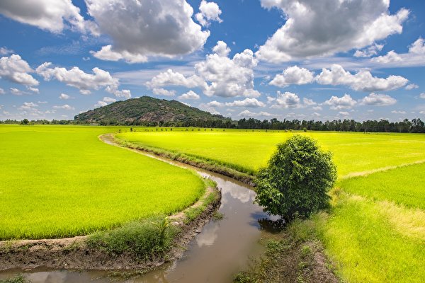 Фотографии Вьетнам Trung Khanh District, Cao Bang (province) Природа Водный канал Поля облако 600x400 Облака облачно