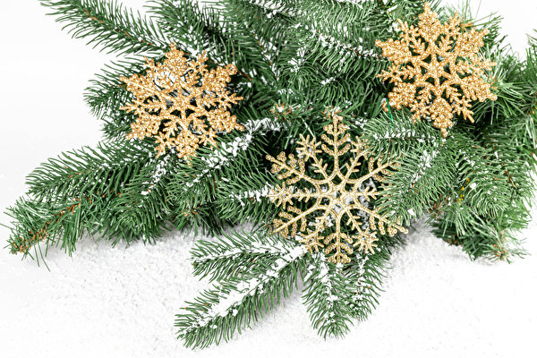 Фотографии Рождество снежинка снегу на ветке белом фоне 600x400 Новый год Снежинки Снег снега снеге ветвь ветка Ветки Белый фон белым фоном