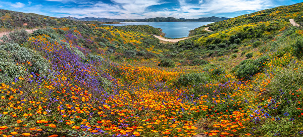 Картинки Калифорния США Панорама Diamond Valley Lake, wildflowers Природа Озеро 600x271 калифорнии штаты америка панорамная