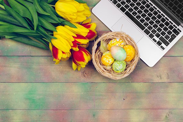 Обои для рабочего стола Пасха ноутбук Клавиатура яйцо тюльпан цветок Корзинка Шаблон поздравительной открытки 600x400 Ноутбуки яиц Яйца яйцами Тюльпаны Цветы Корзина корзины
