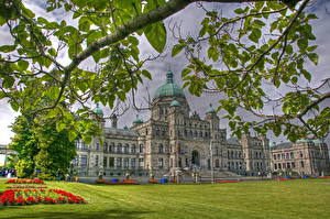 Фотографии Канада Газоне Трава Ветка Листья HDRI Victoria Parliament город