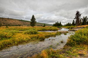 Фото Парки Река Йеллоустон Трава Wyoming Природа